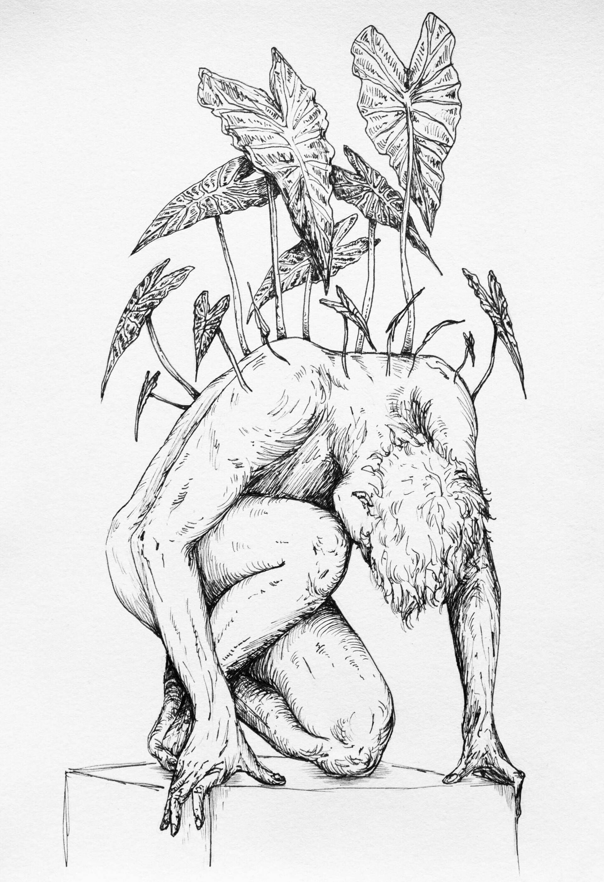 the fallen - Alina Beck 2