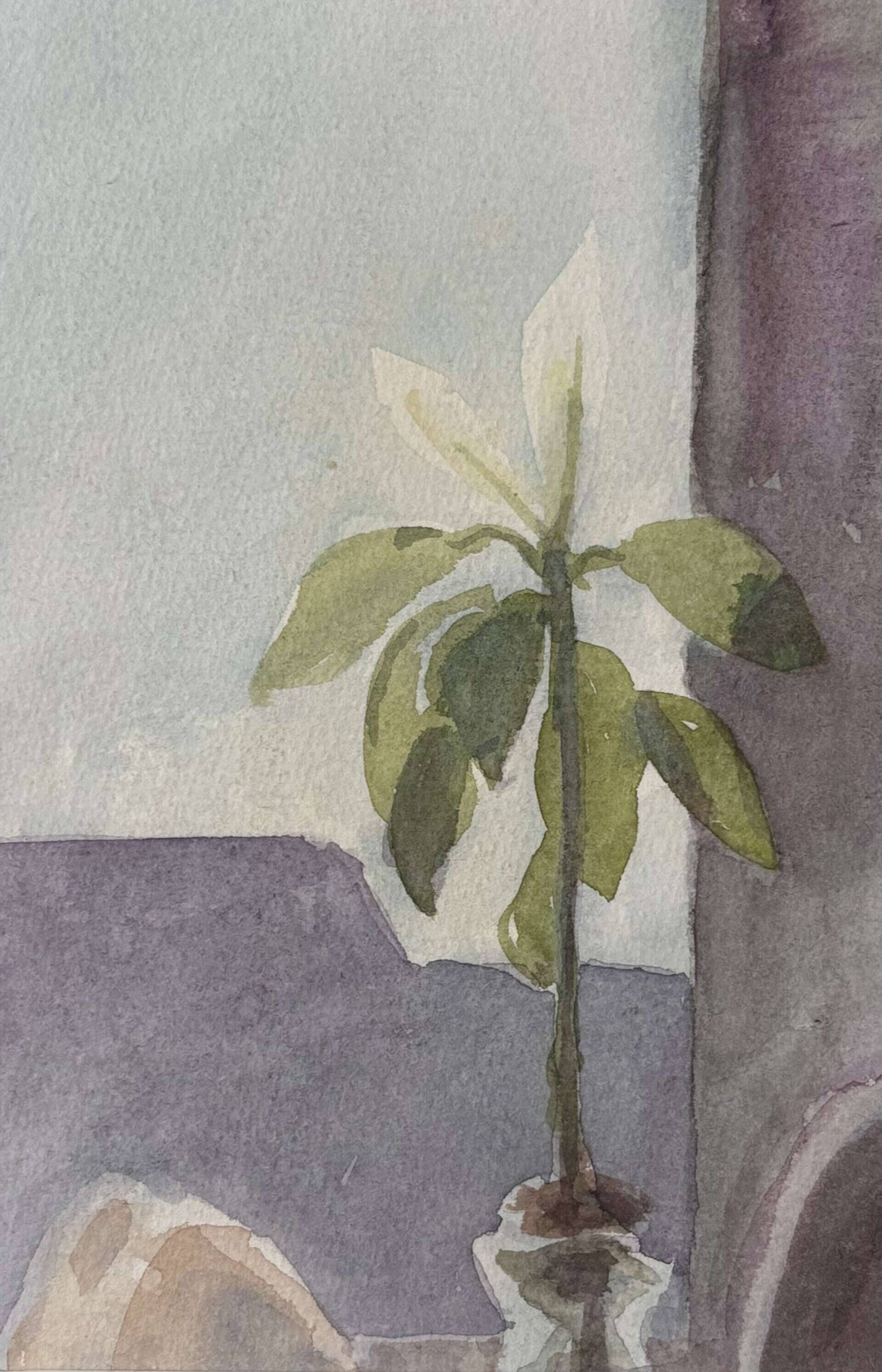 Avocado mit Morgensonne - Katja 1