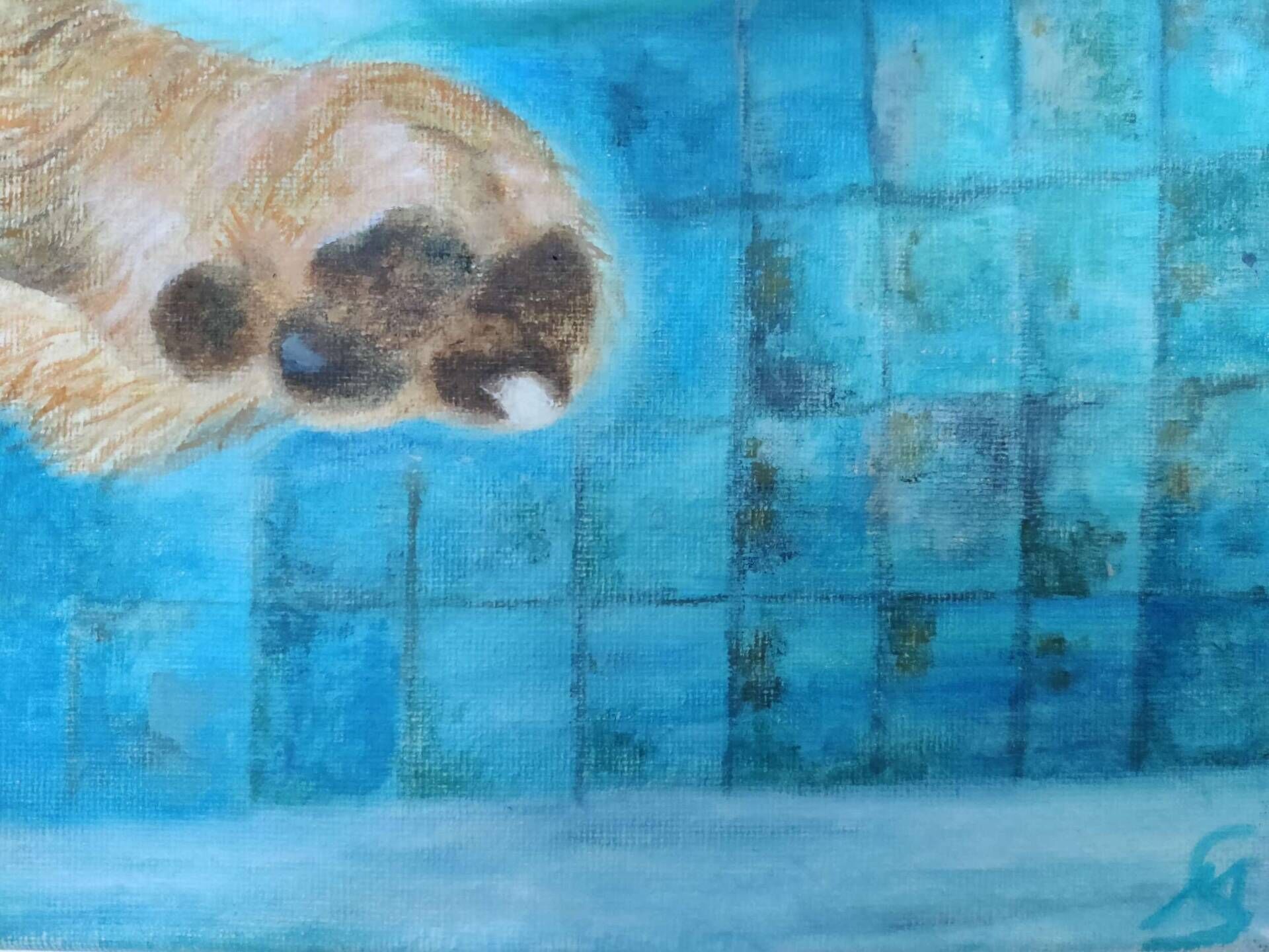 Seehund - Milena Simonis 7