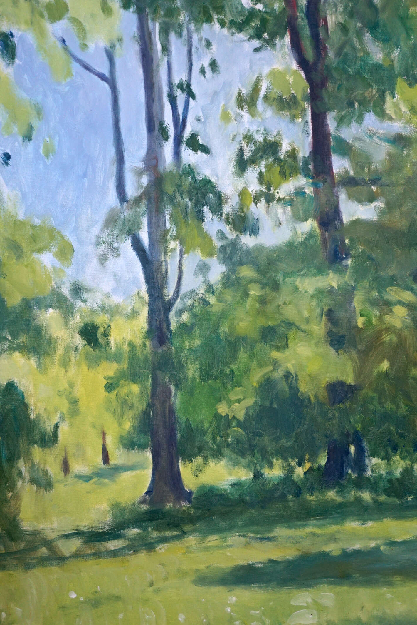 Bäume im Park - Christian Herzig 3