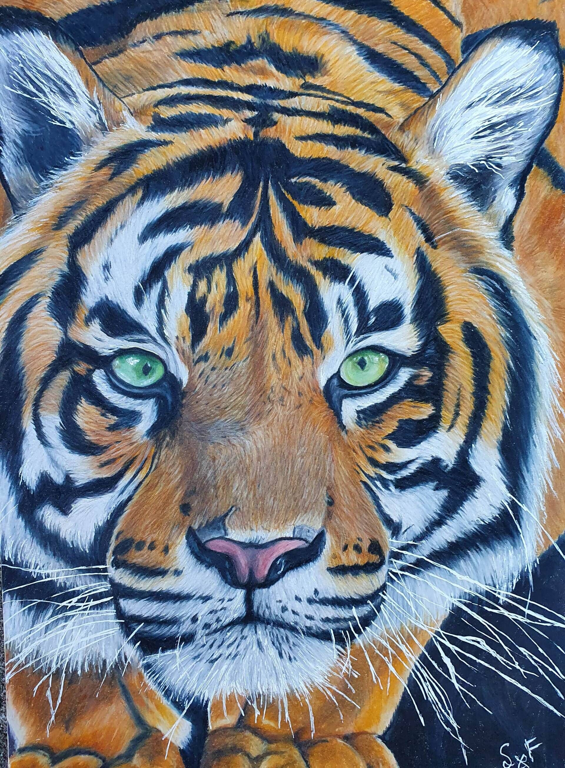 Im Auge des Tigers - Sarah Franke 1