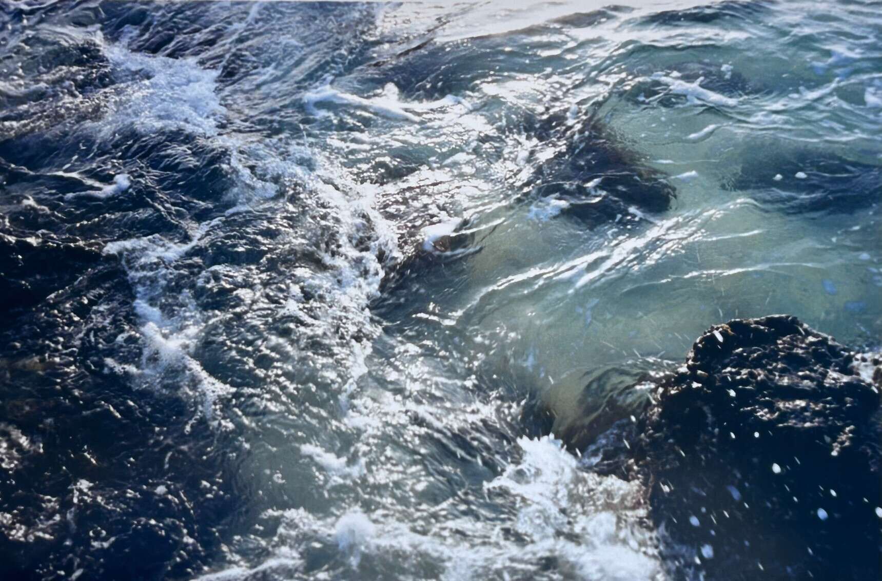 Fiebertraum  - Luise Oswald 2