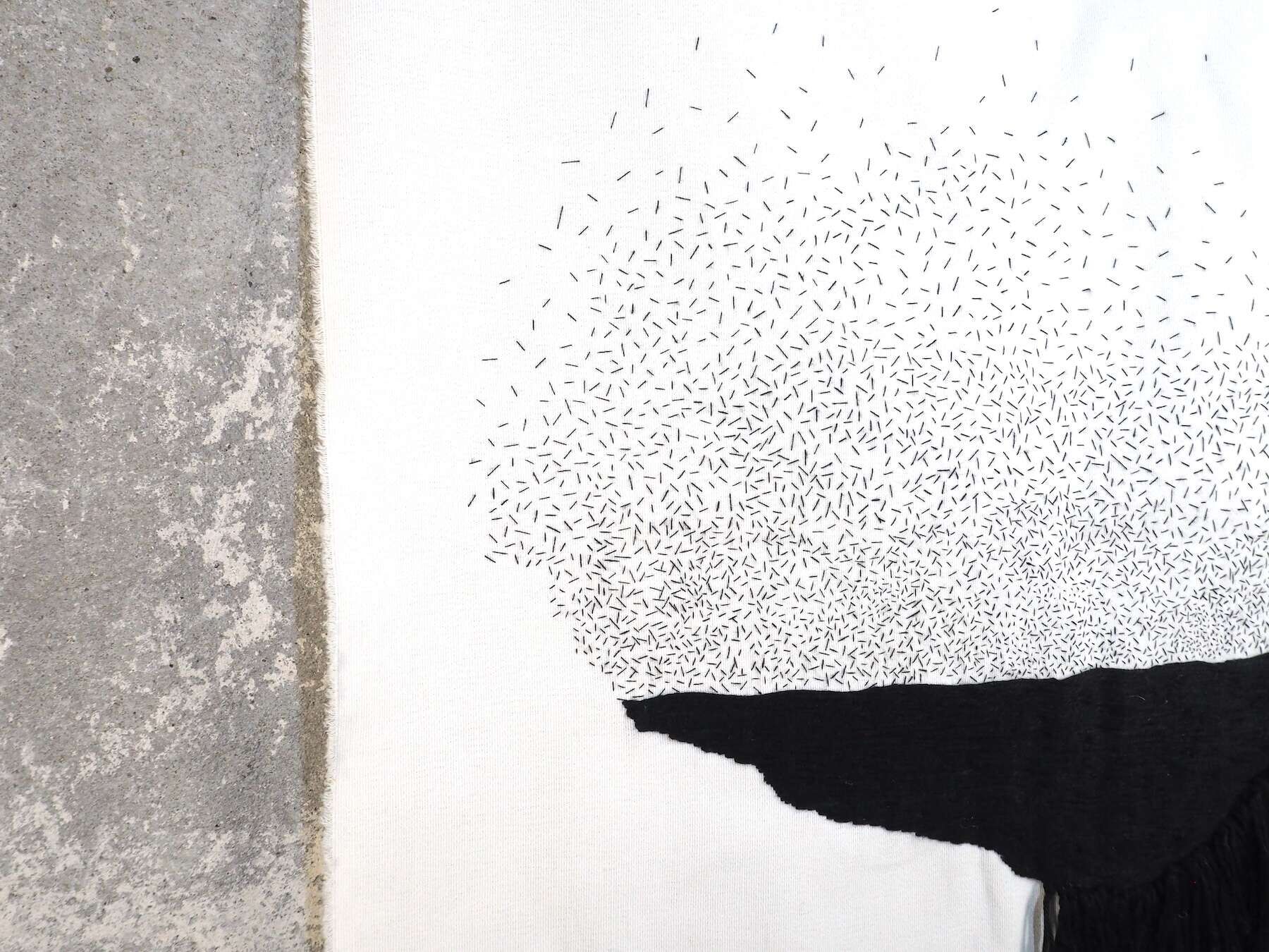 Atme - Carolina Gandul 3