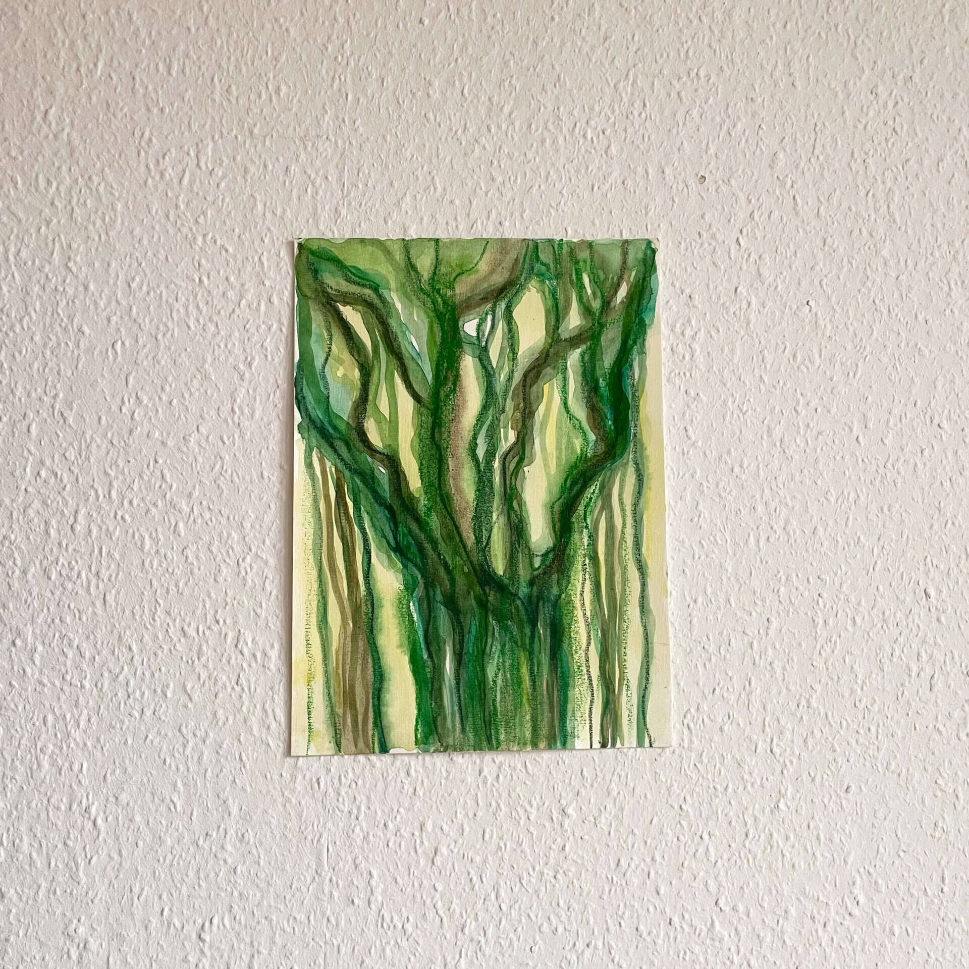 Banyan Tree 1 - Teuta Pashnjari 3