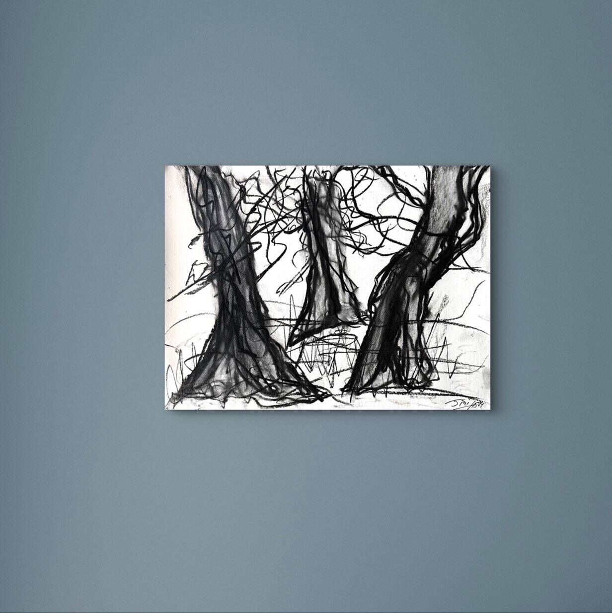 Olive Trees - Martina  Schepperle  1