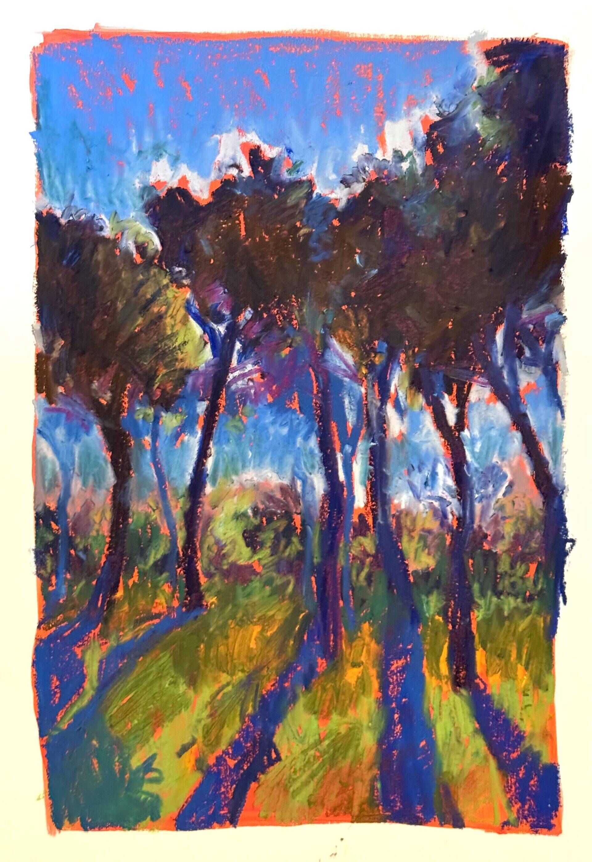 Pinien und Schatten - Daniel Heimgärtner 1