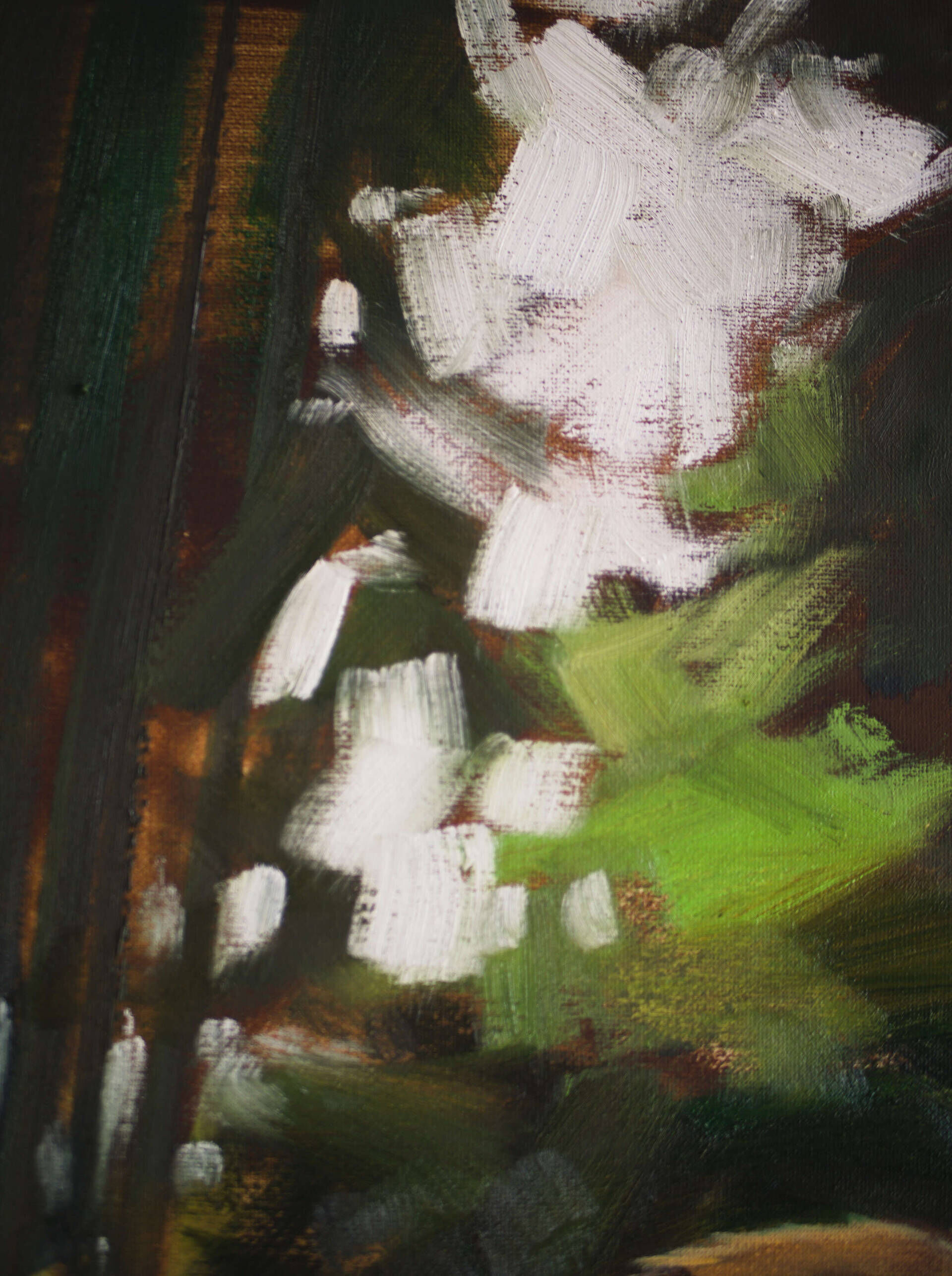 Curly Lioness - Oleksii Gnievyshev 6