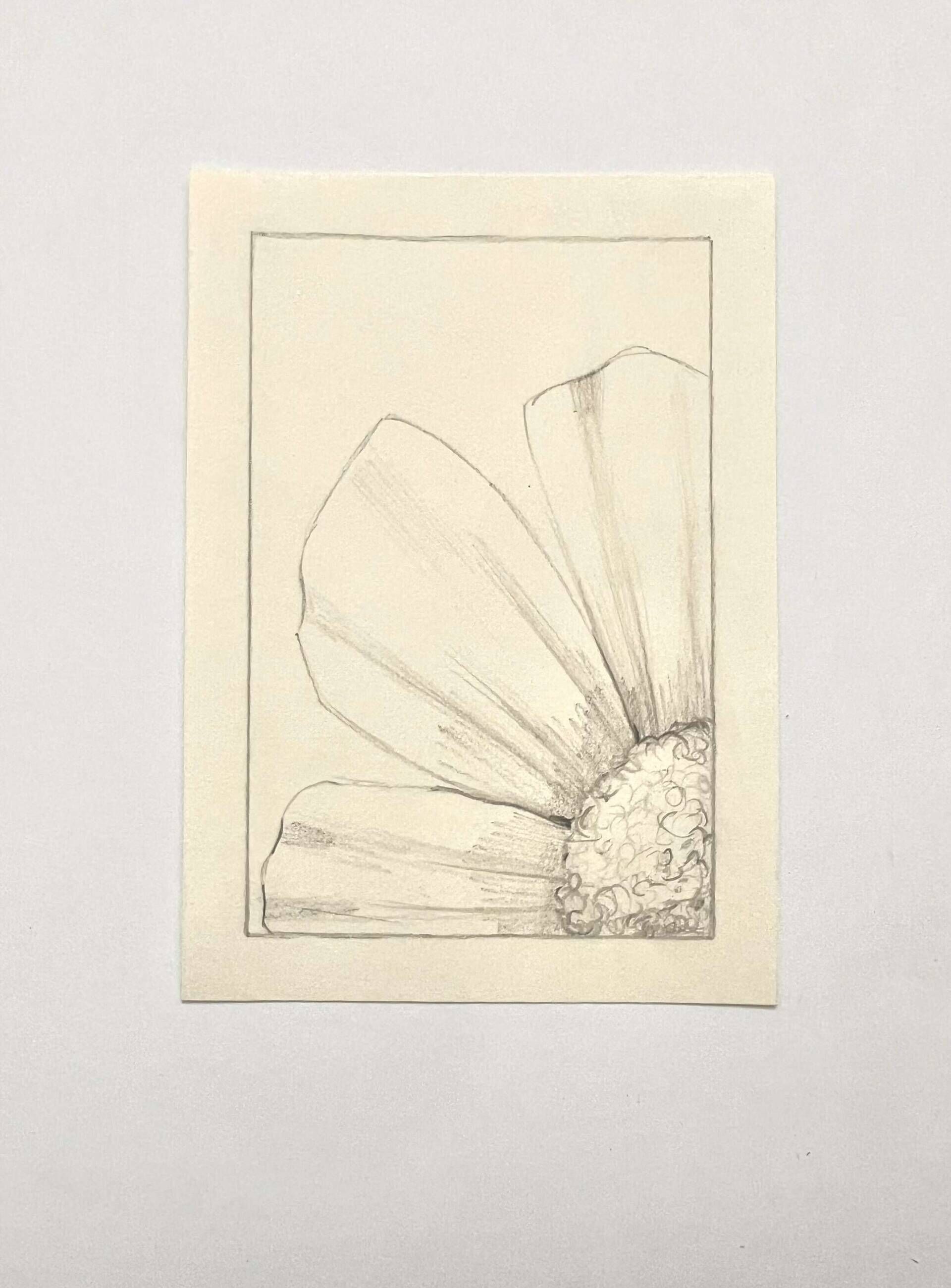 Blumenfenster - Paula Victoria Aldea 3