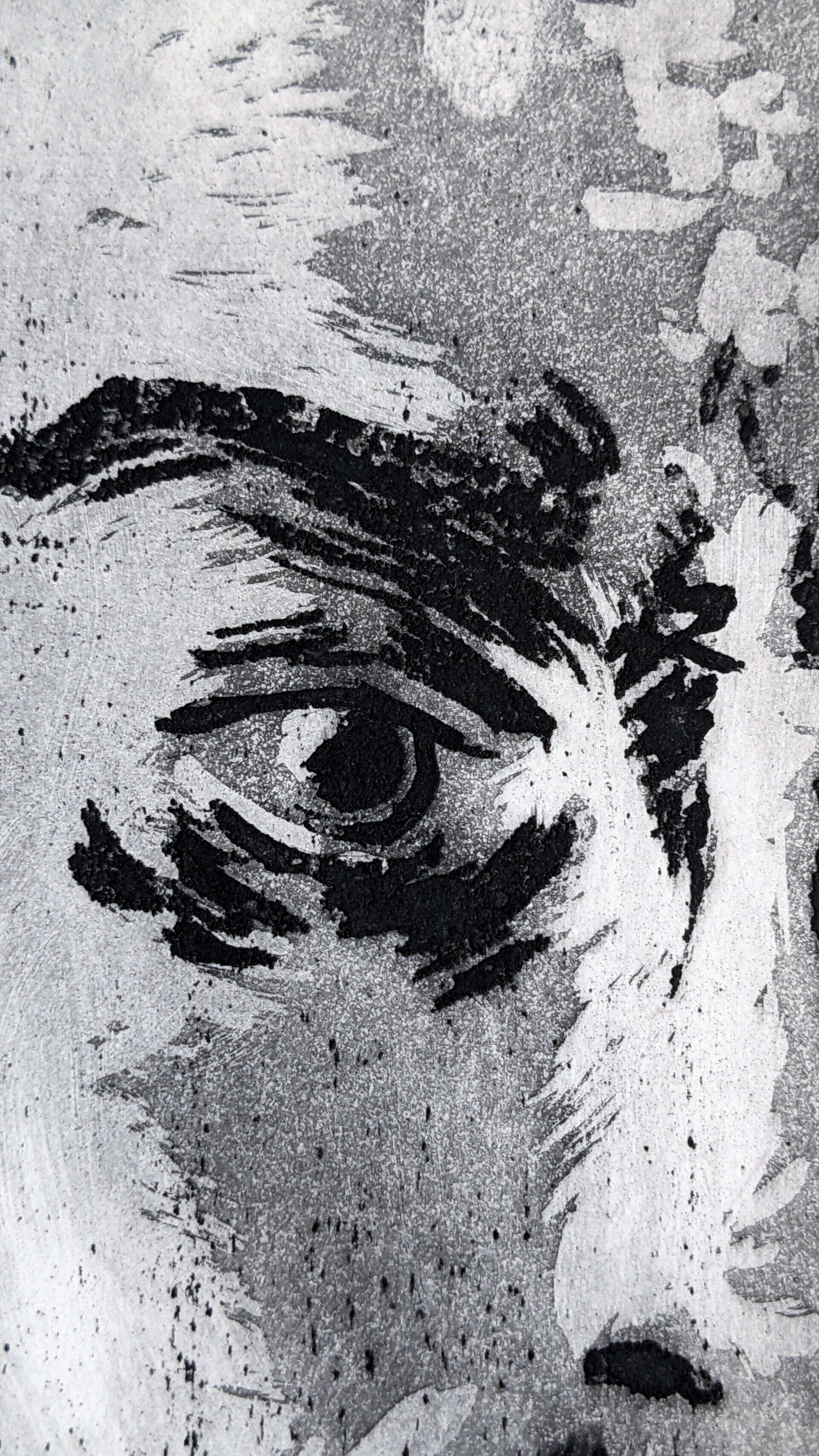 The Unusual Scream II - Fabiola Pelzer 2
