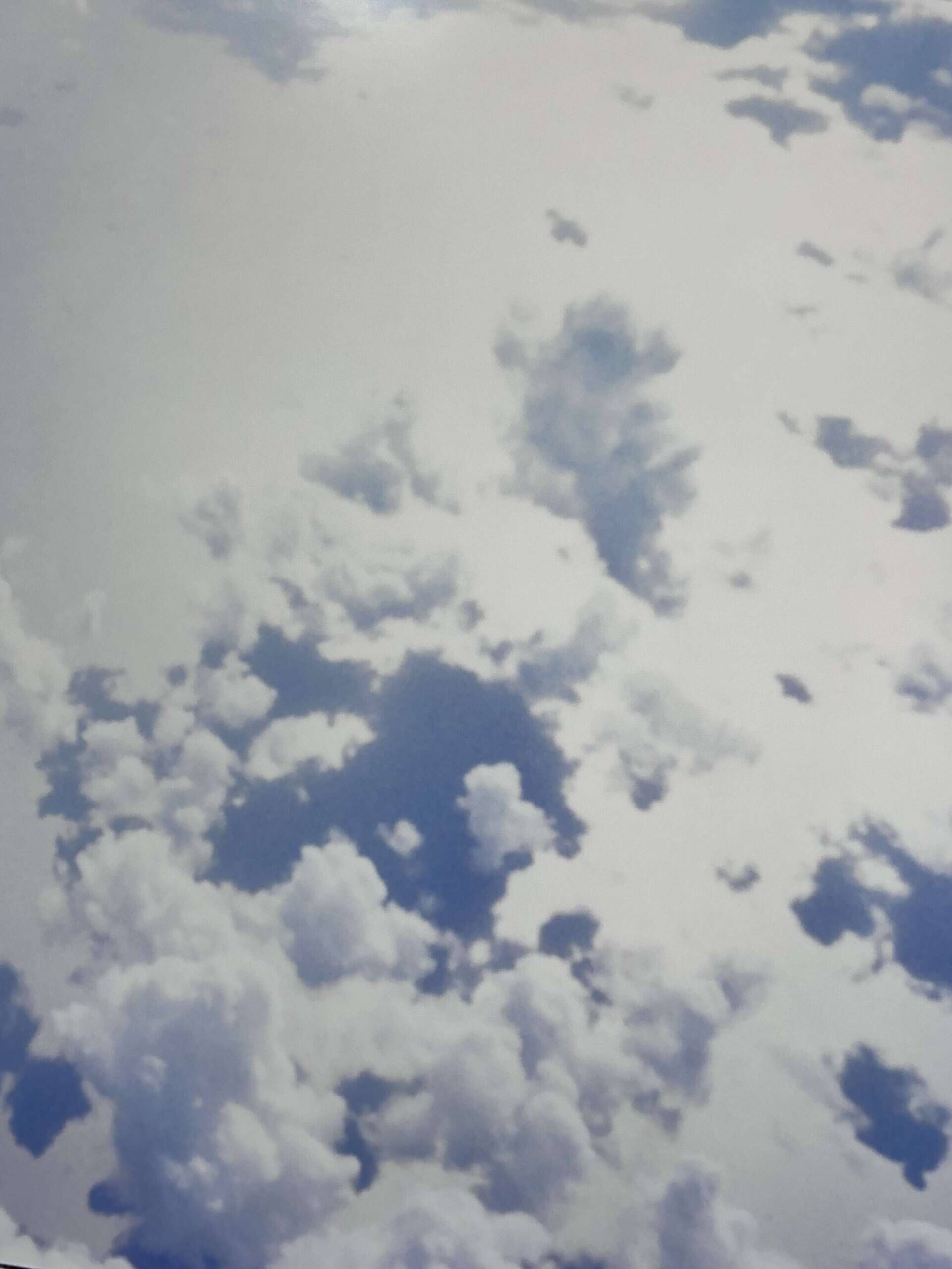 Zuckerwatte - Luise Oswald Zuckerwatte - Luise Oswald 3