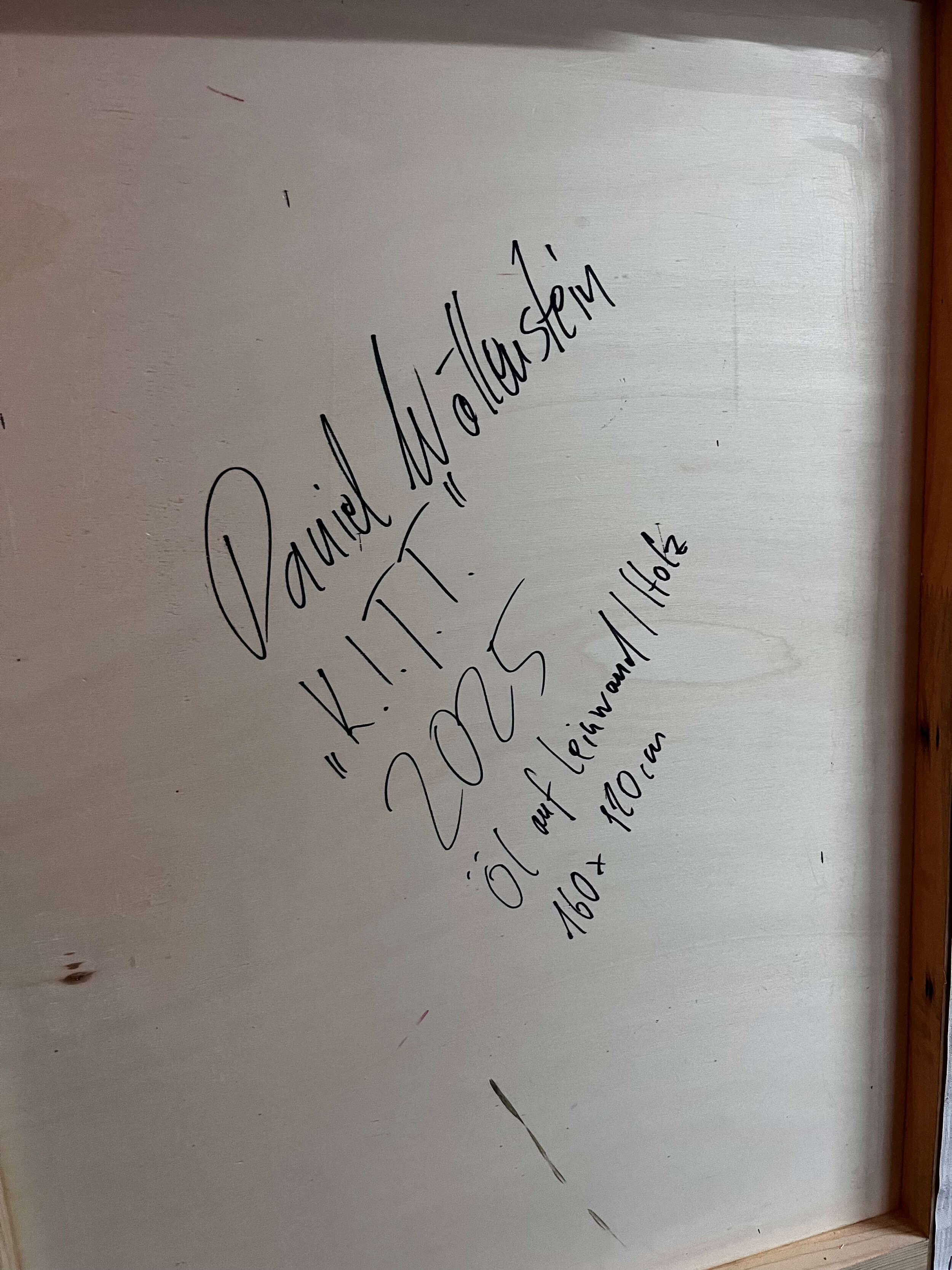 K.I.T.T. - Daniel Wöllenstein  8