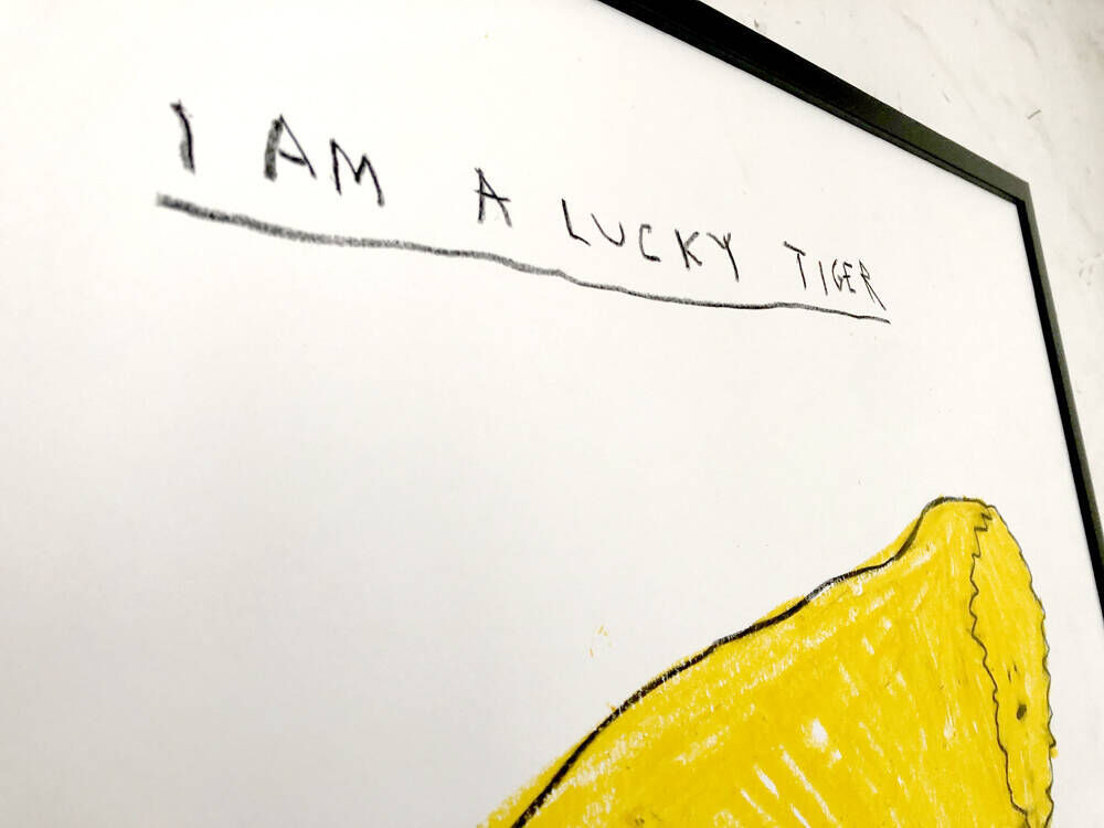 lucky tiger