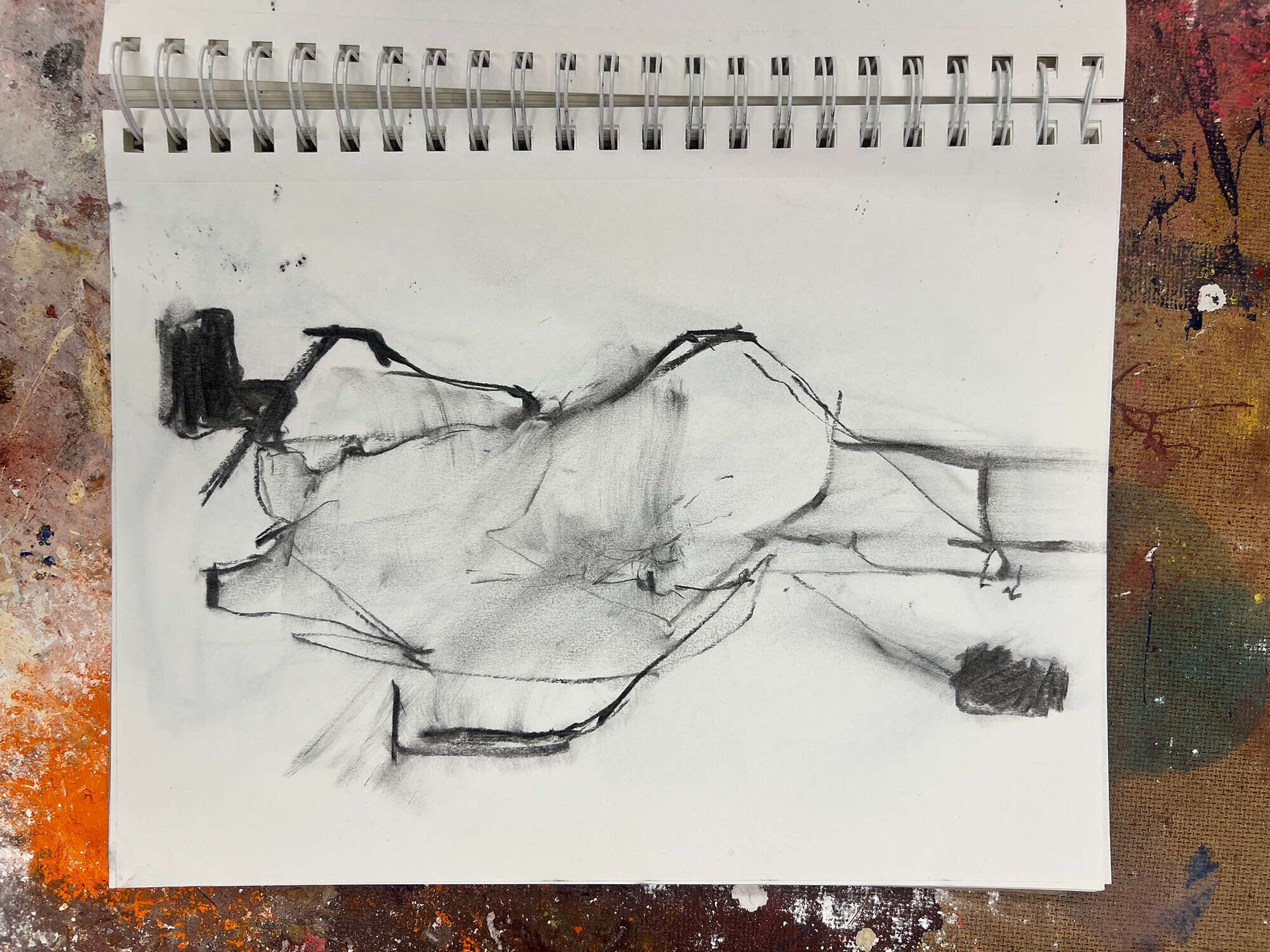 rücken blick - Tyler Heidenwag rücken blick - Tyler Heidenwag 2