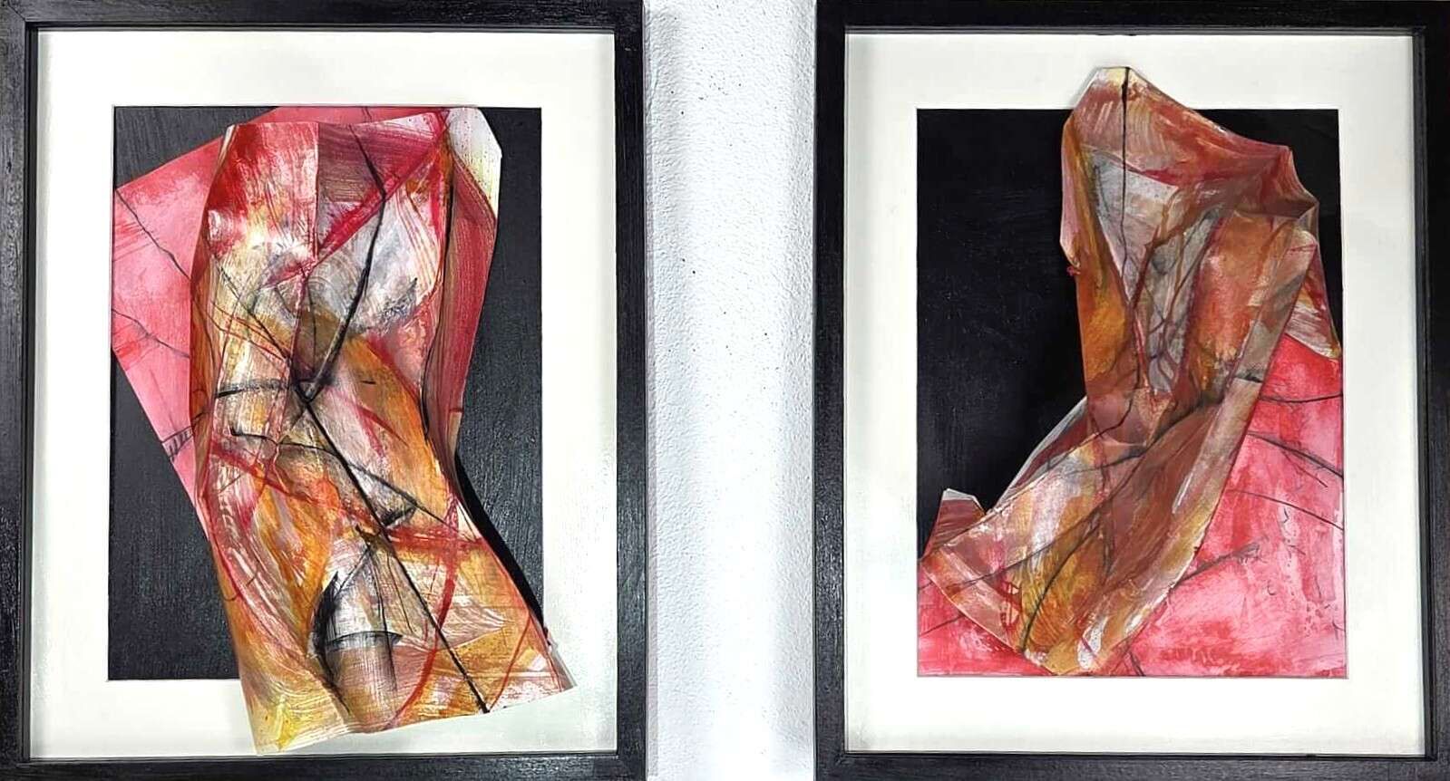 Opus Geminum: Opera 2-1025 - Vesna  Faiazza  1