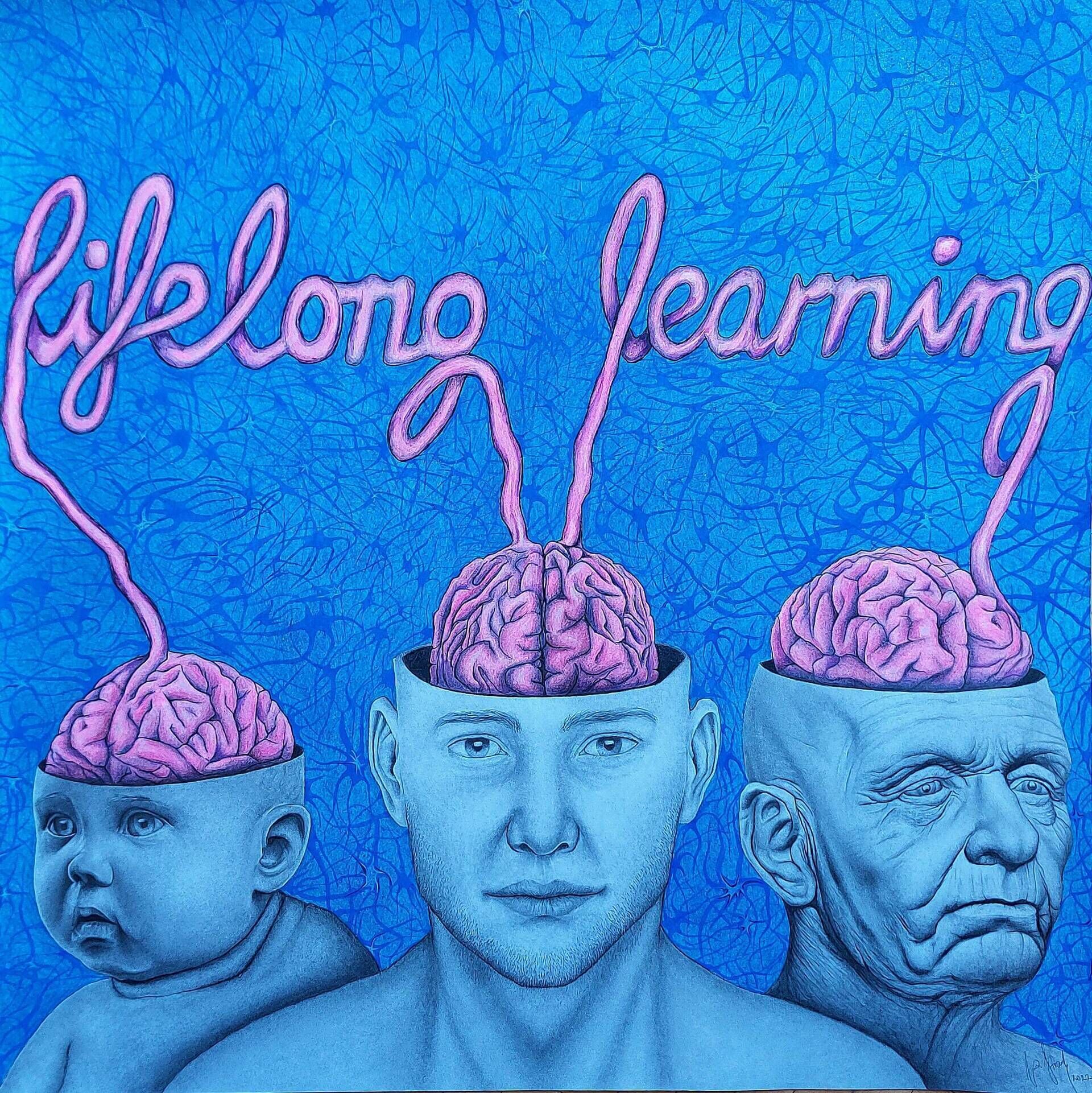 Lifelong learning - lebenslanges Lernen - Alexander Straub 1