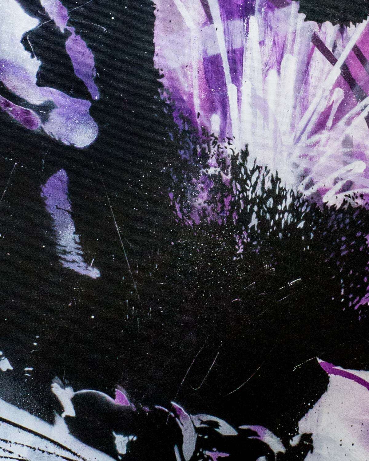 Prince - Frederick Reifsteck 3