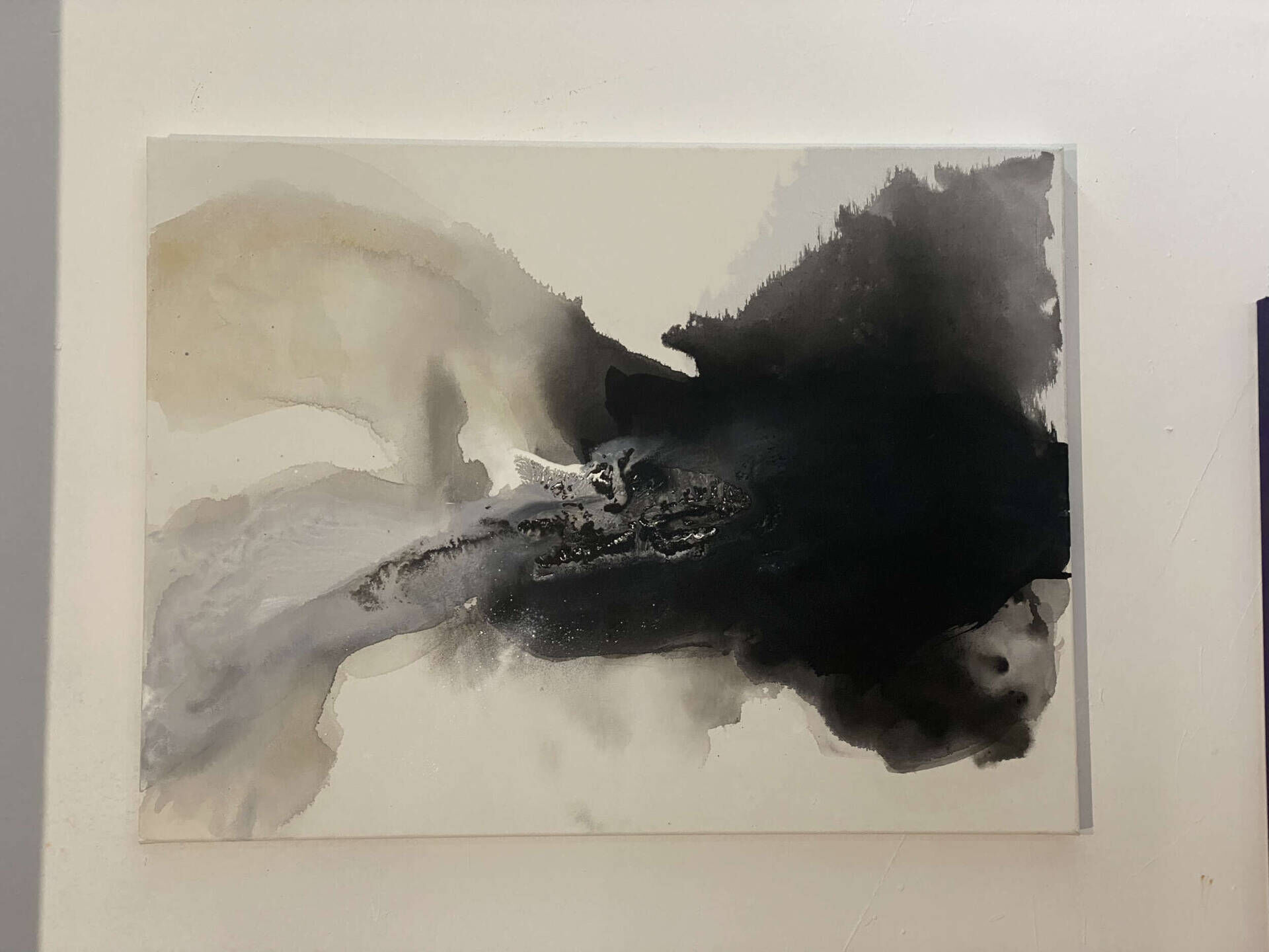 Flora Obscura - Franca Plohr 7