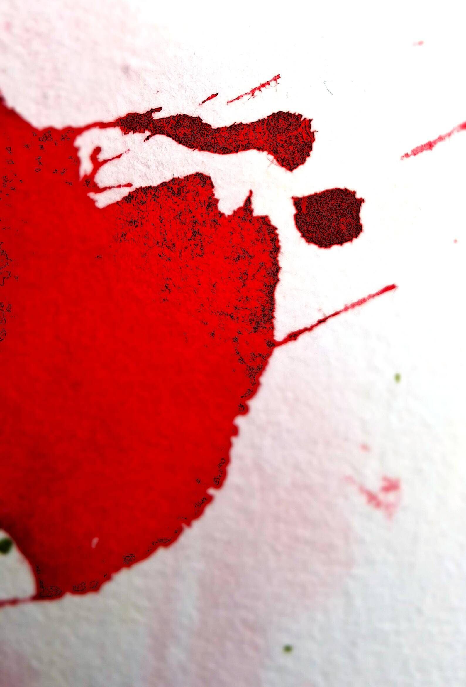 Rote Poesie - Sara Wimmers 1