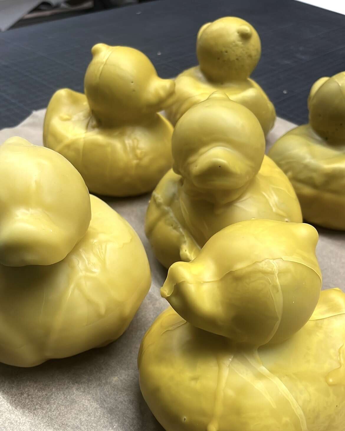 Coated in Beewax After the Dryness They Have Known (2026) - Terryfied Club 5