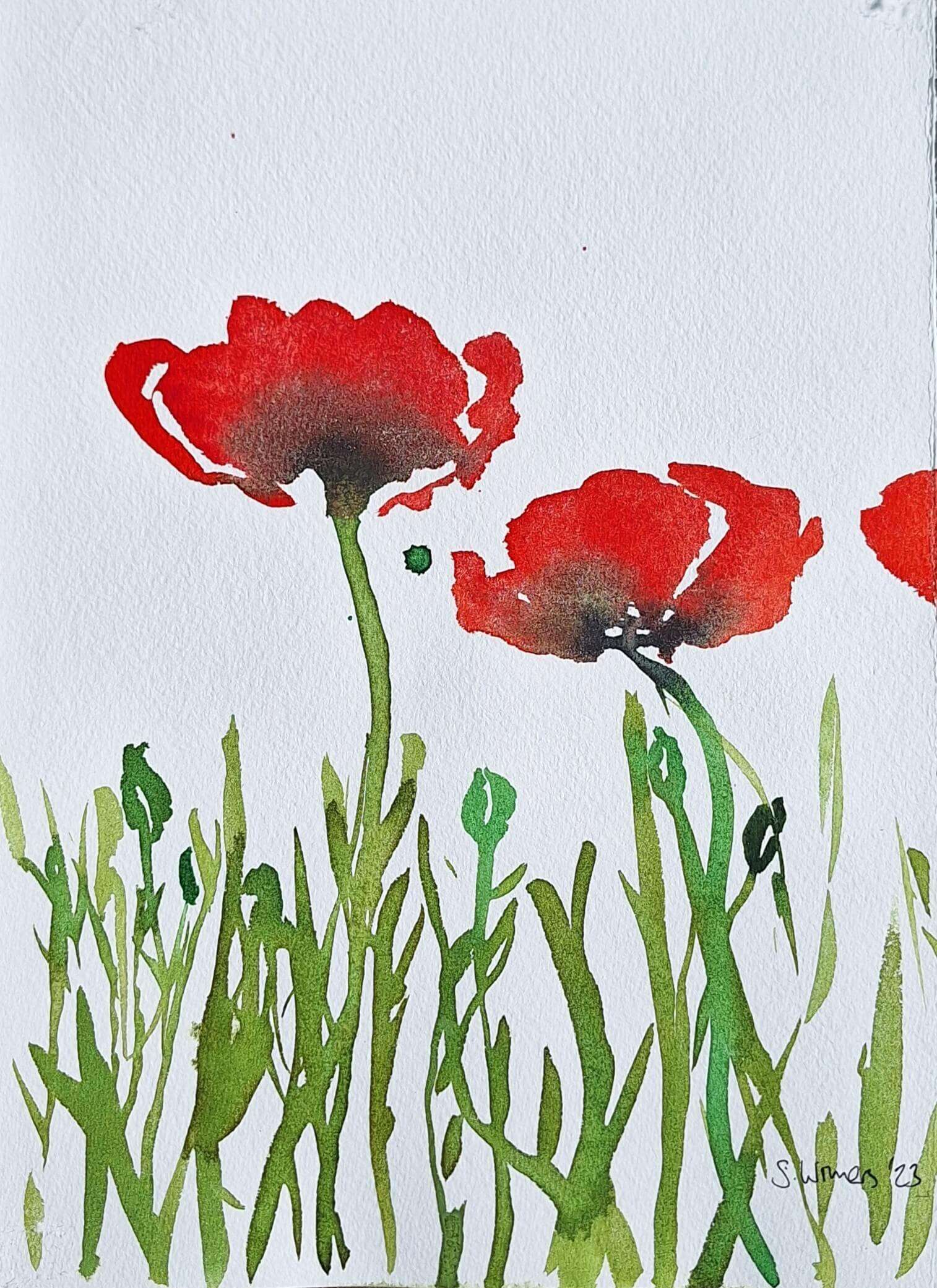 Poppies in May - Study #1 - Sara Wimmers 1