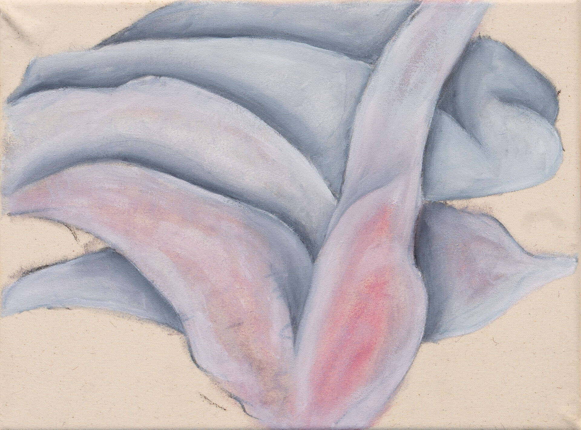 Blume - Jonattan Bustos 2