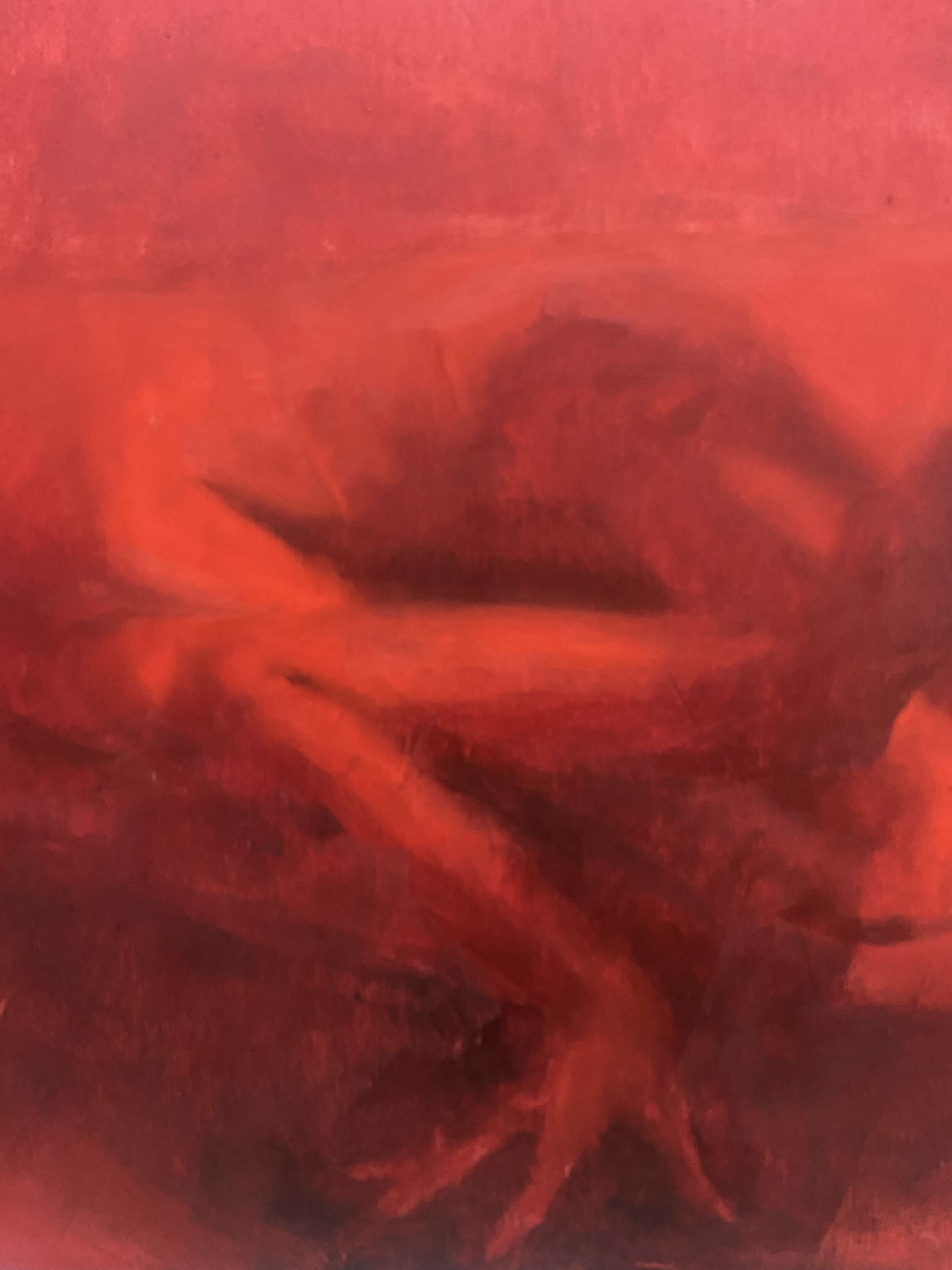 Consumed by red space  - Lilli Geyer 3