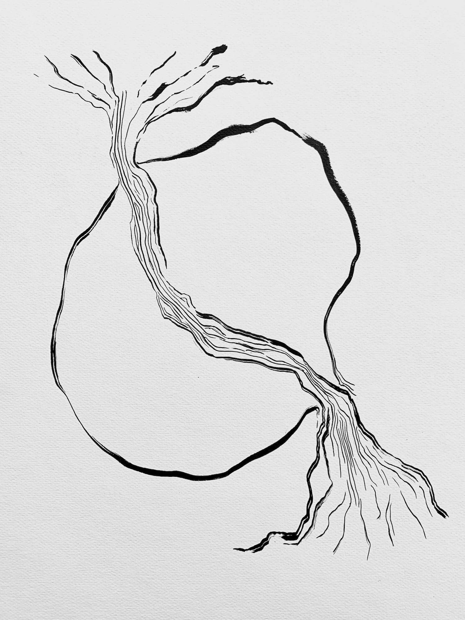 Tree and Seed - Carolina Reyes 2