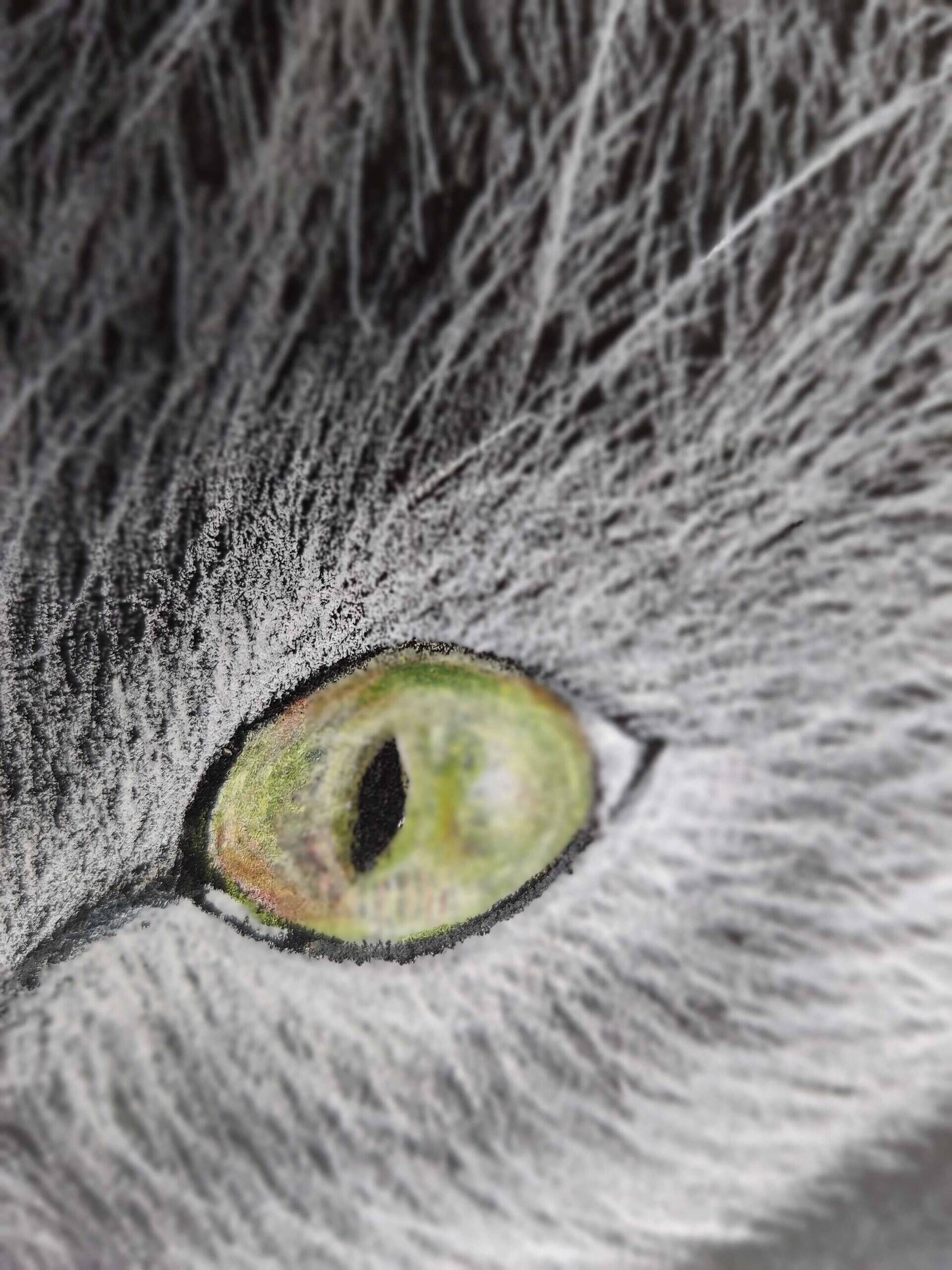 Clara - Milena Simonis 5