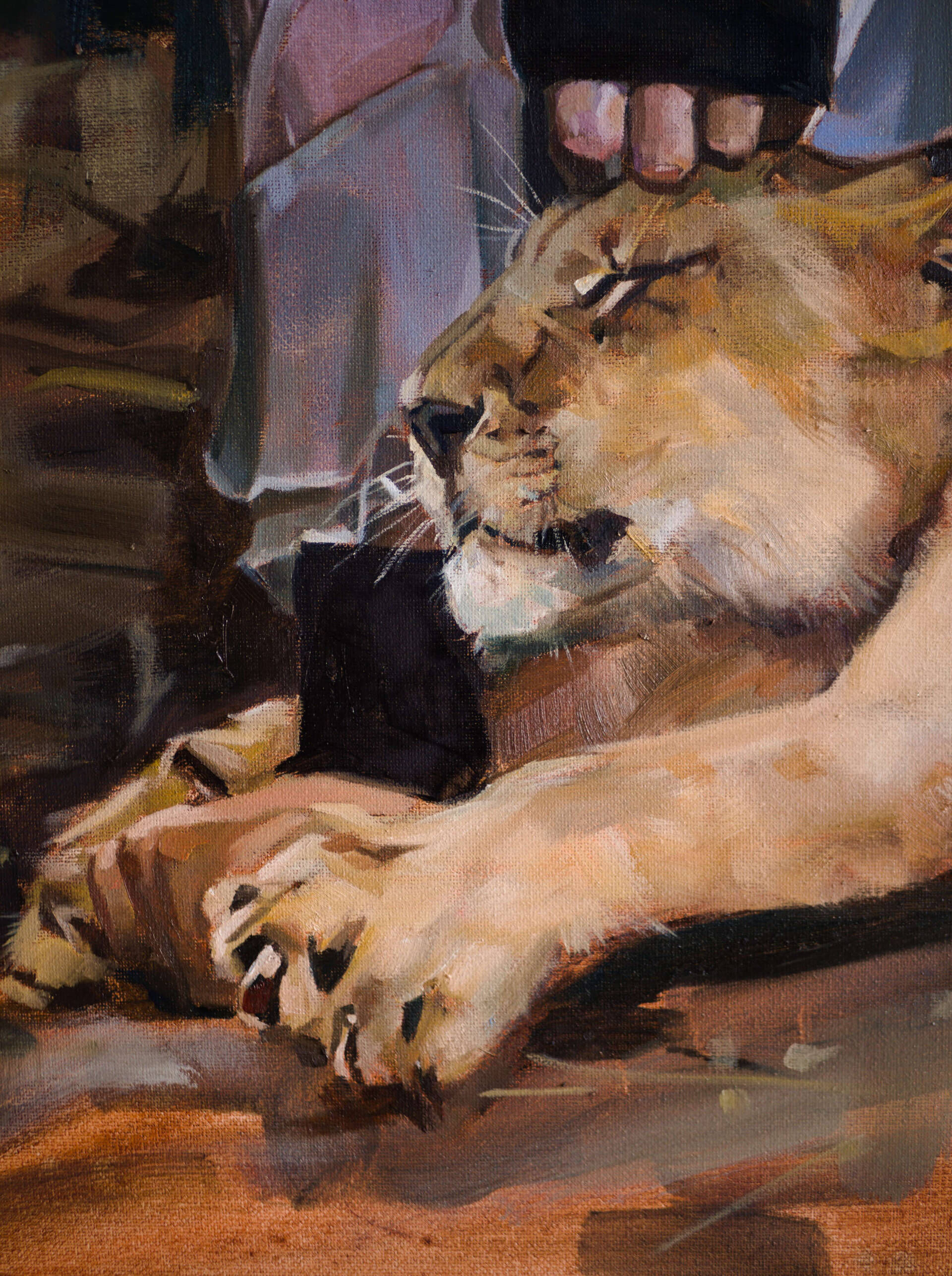 Curly Lioness - Oleksii Gnievyshev 5