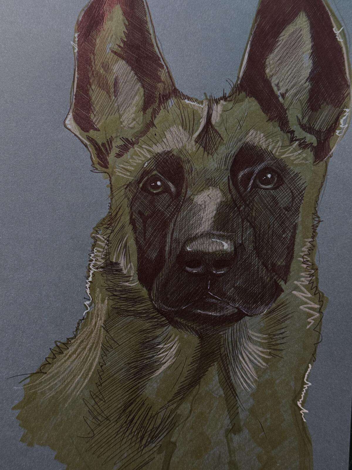 Dog Raptor - Laura Küpper 3