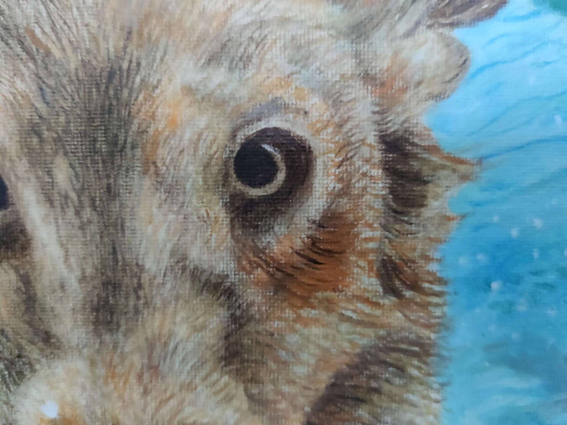 Seehund - Milena Simonis 3