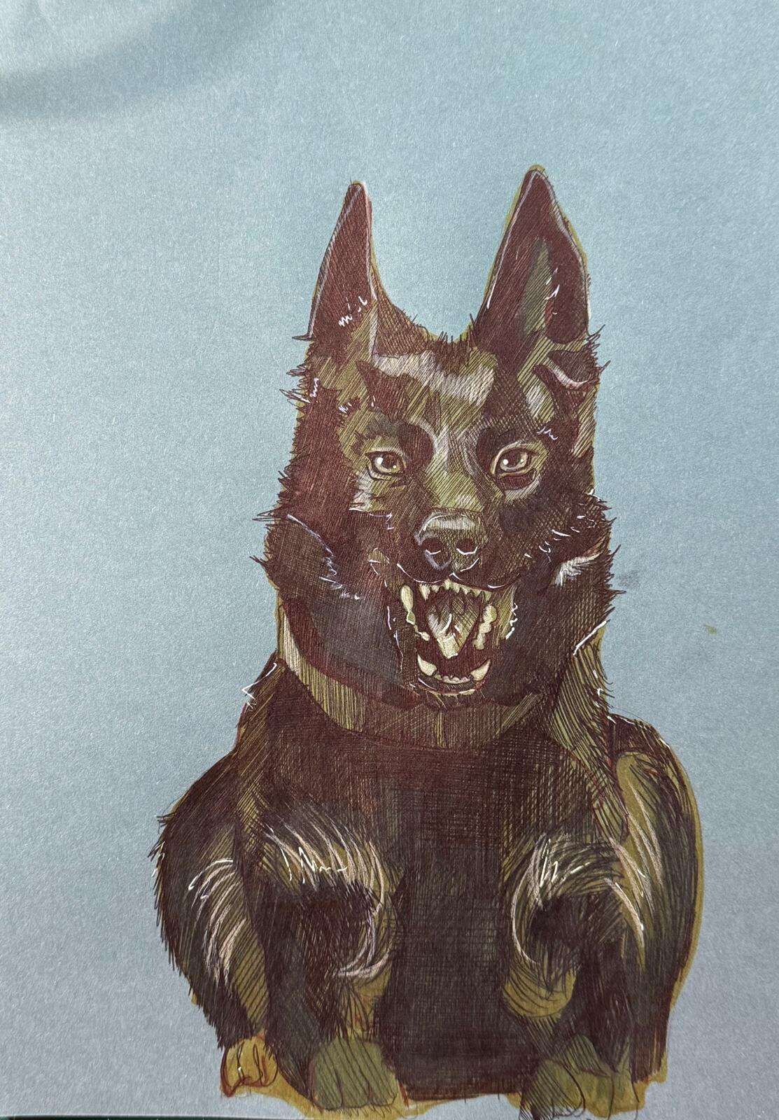 Dog Raptor - Laura Küpper 8