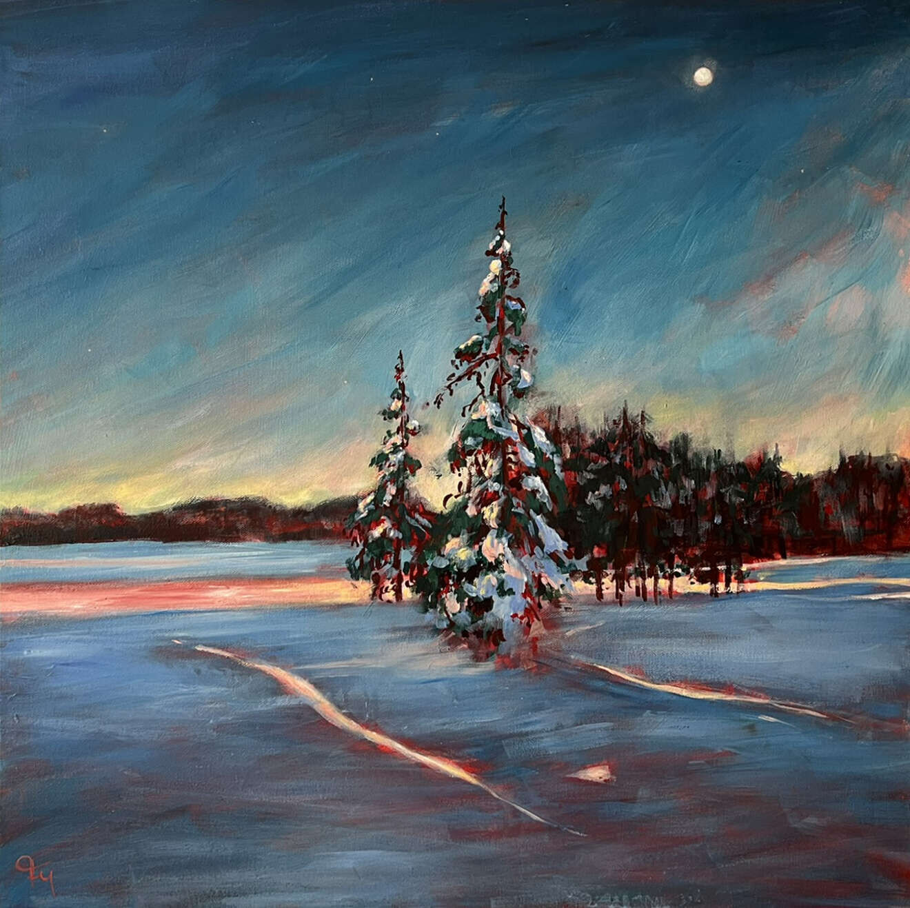 Leuchtende Kälte - Melissa Faltermeier 1