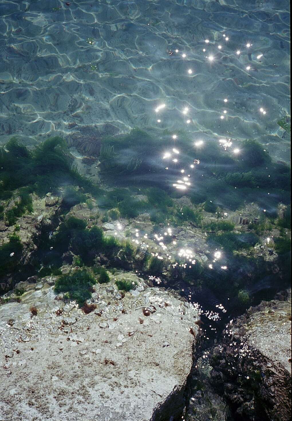 Lido 2 - Luise Oswald 1