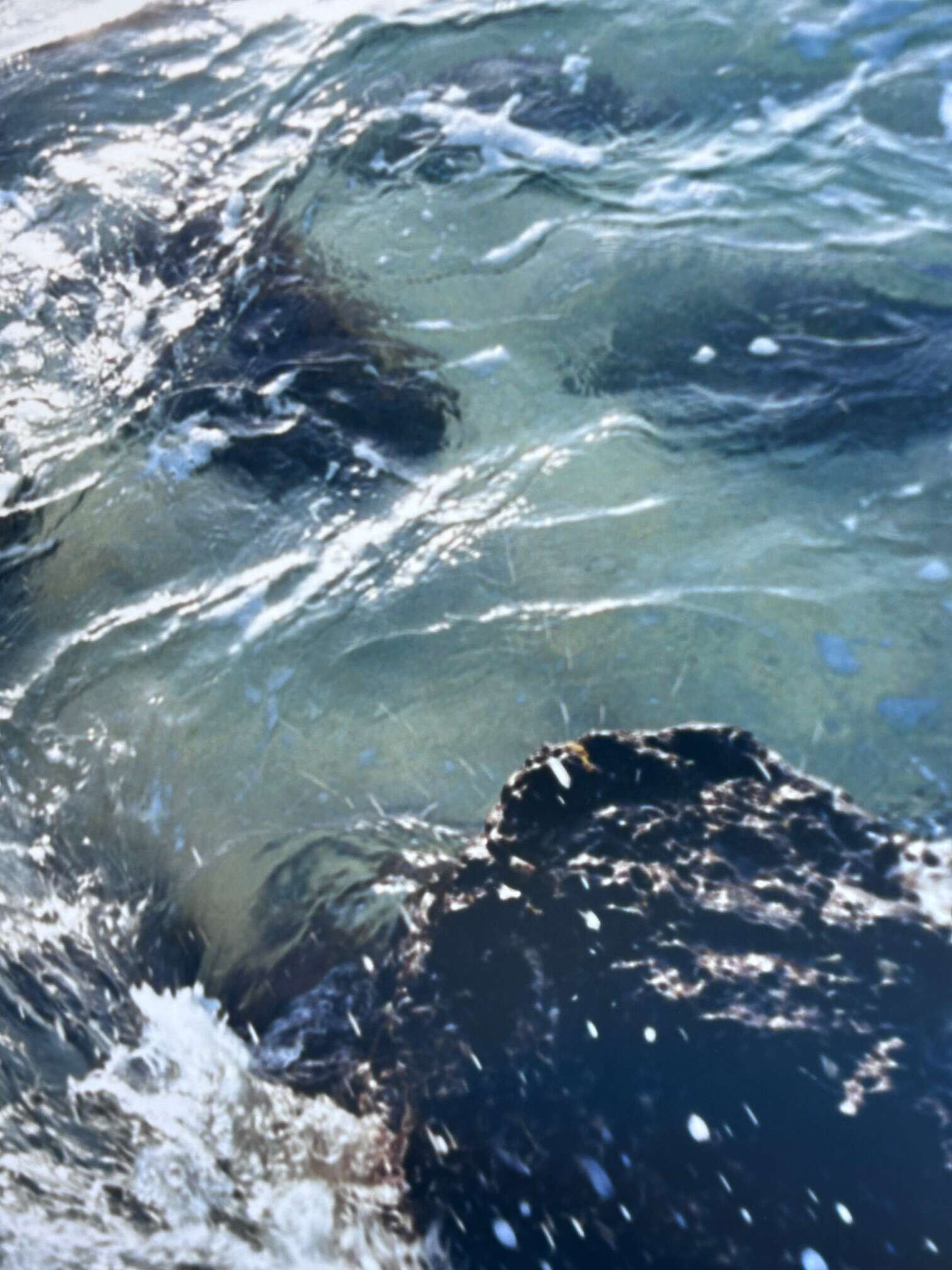 Fiebertraum  - Luise Oswald 5