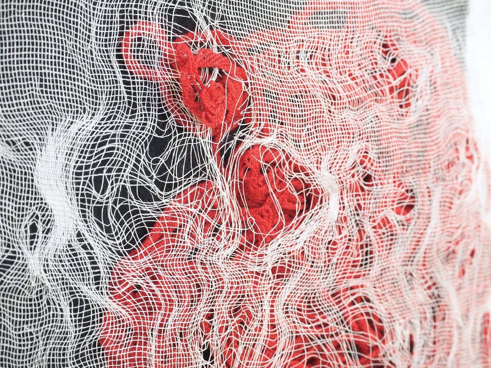 Die Inner - Carolina Gandul 2