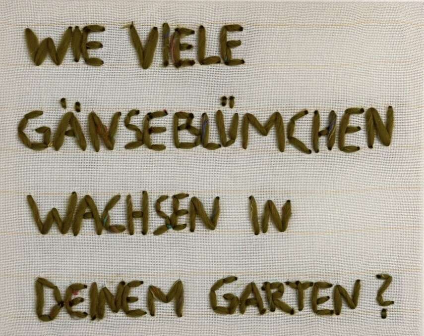 Gänseblümchen im Garten  - Carmen Moreira 1