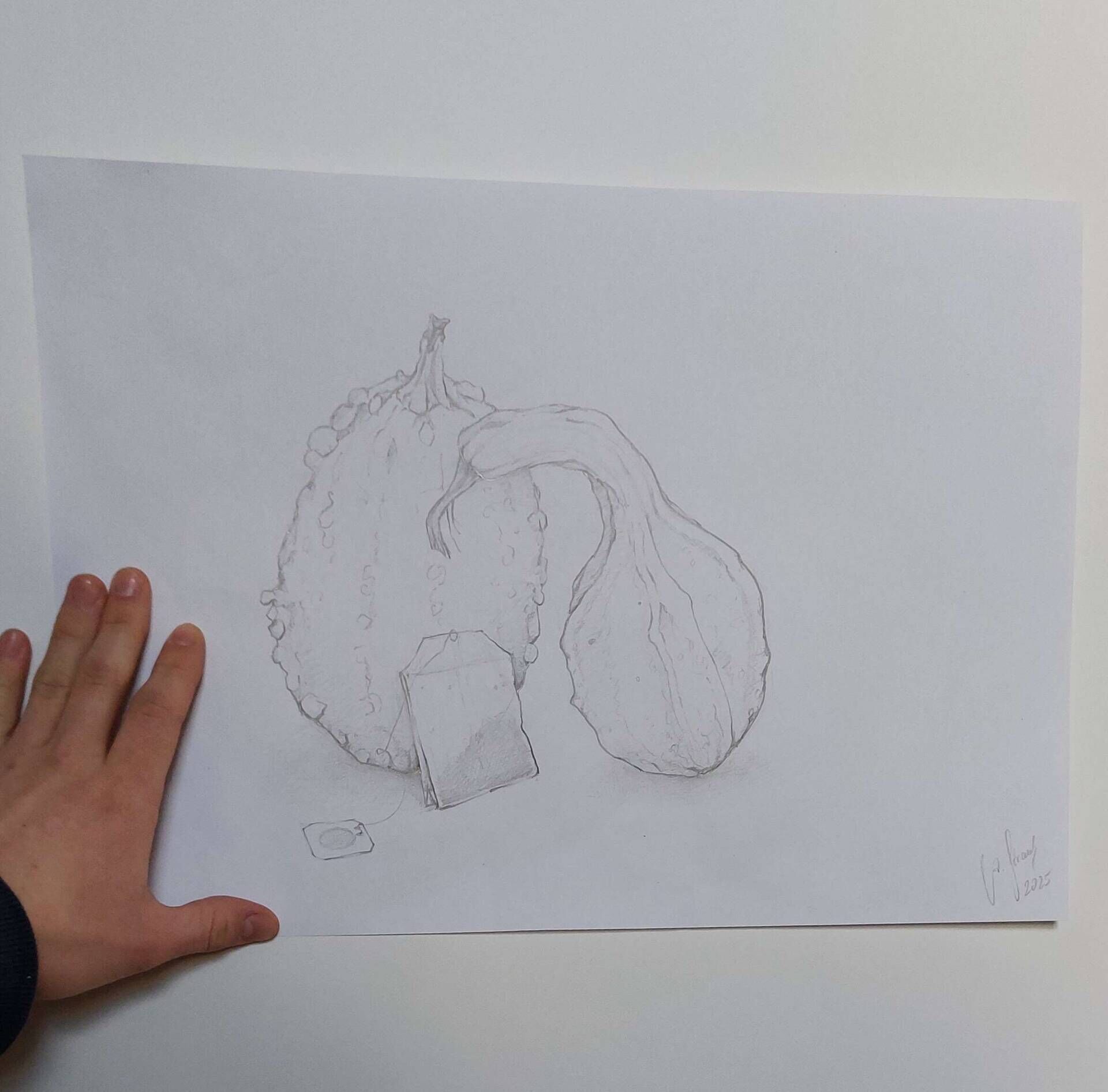 Stillleben mit Teebeutel - Alexander Straub 7