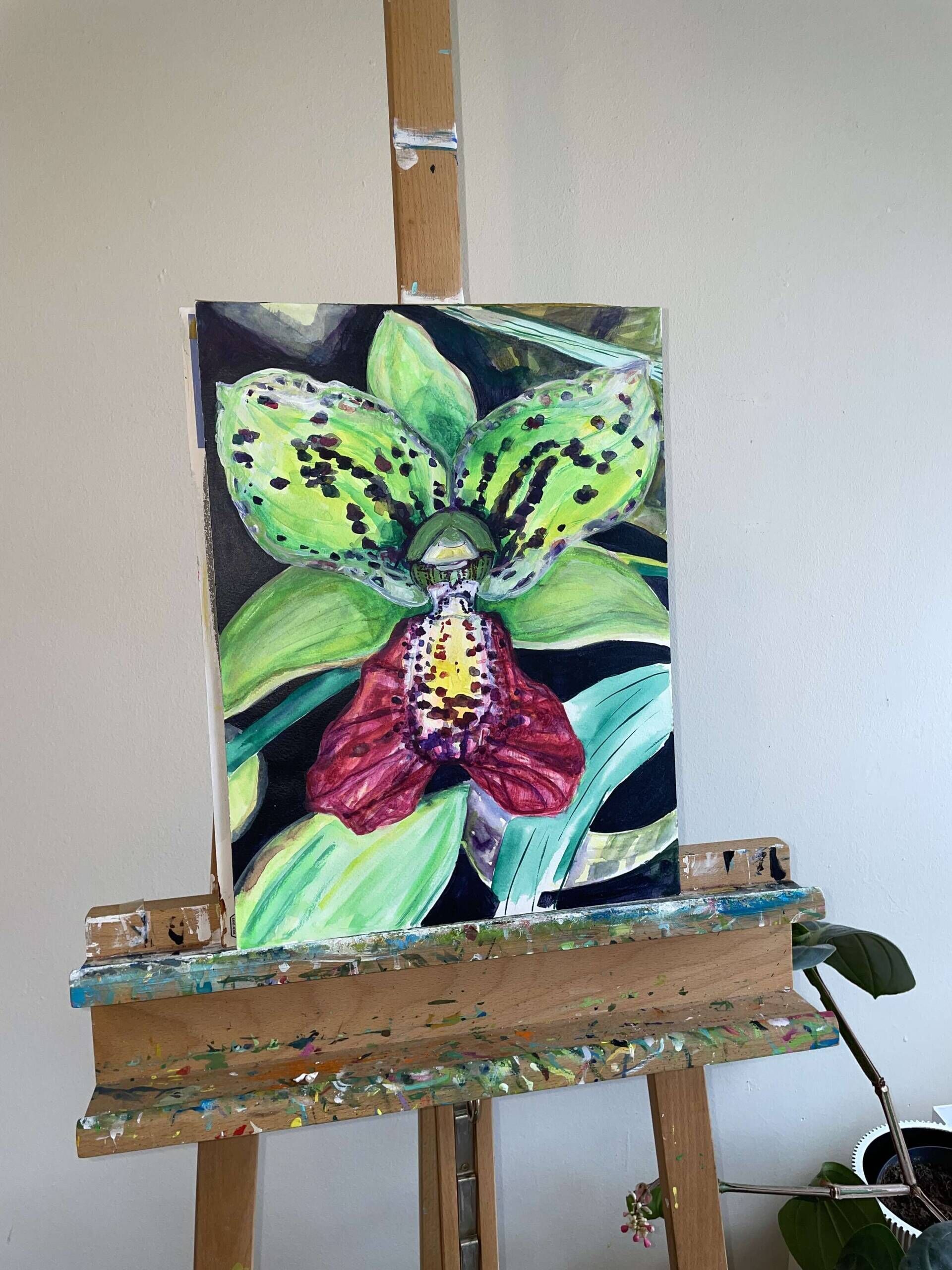 Orchidee „Cymbidiella pardalina“ - Delja Wilfert 3