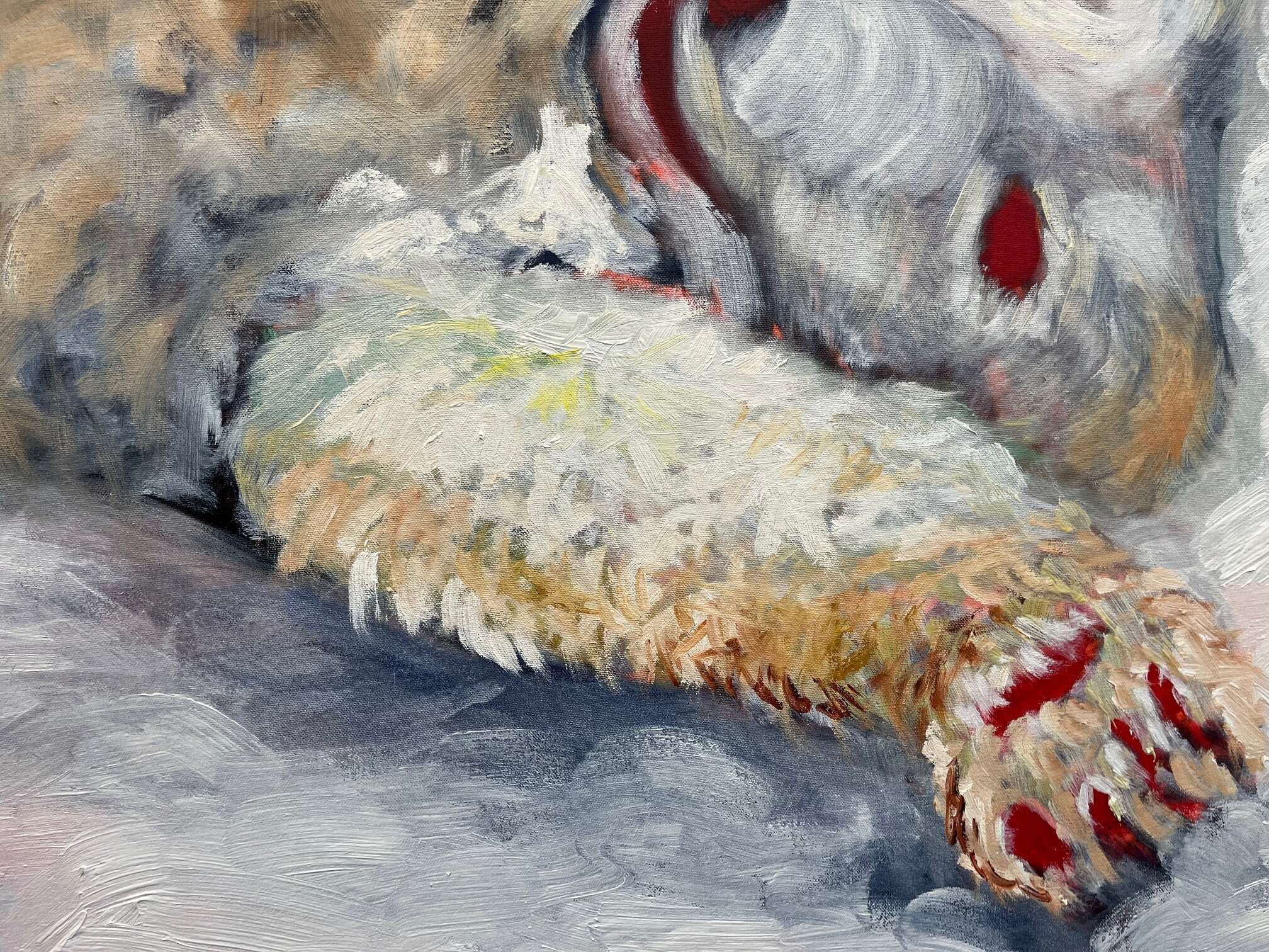 Frozen Lull - Anna Hopfensberger 1