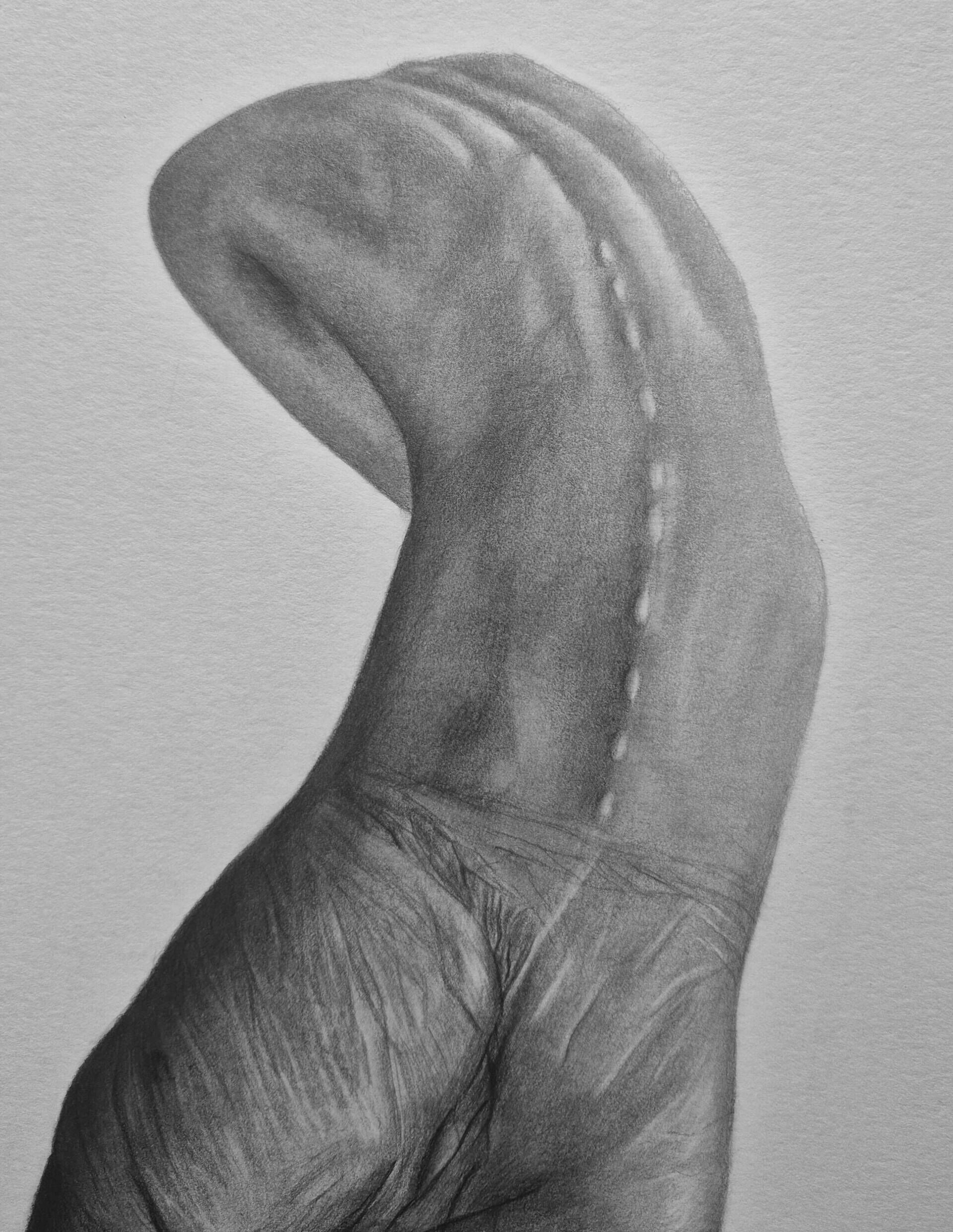 backhand - Manuel Ritzl 4