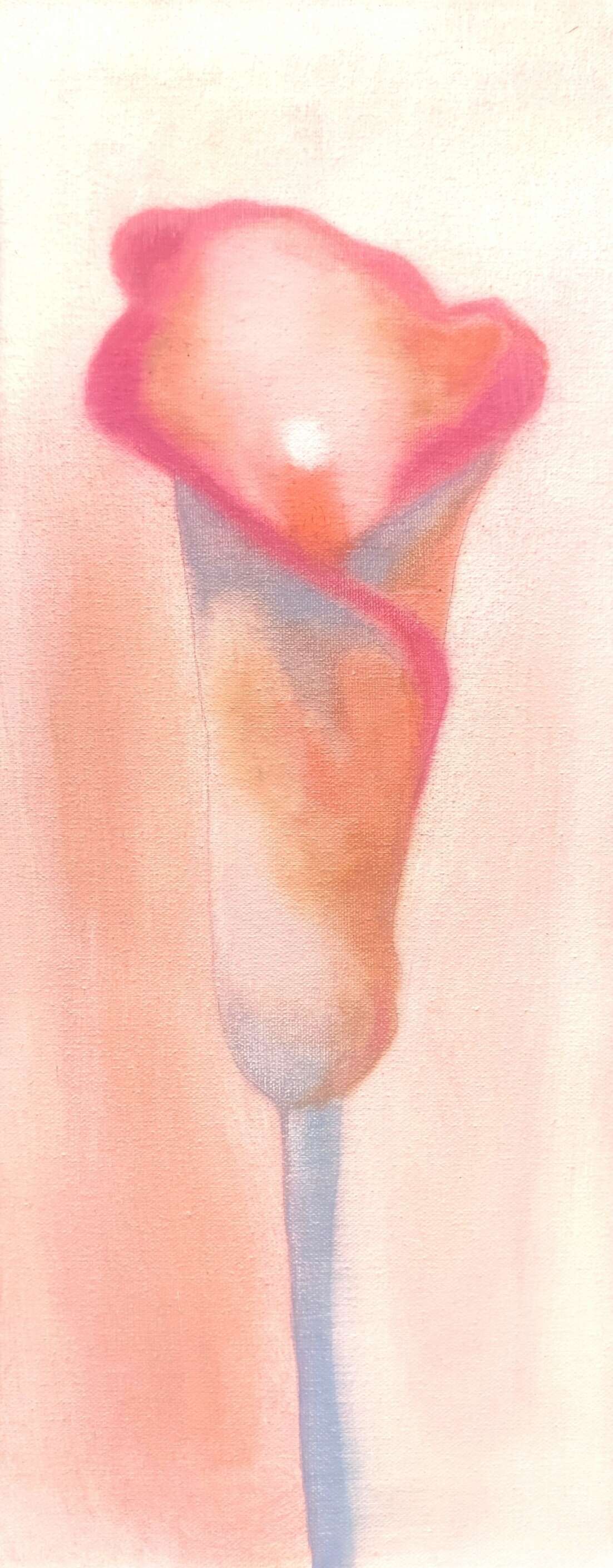 Calla - Maria  Krause 1