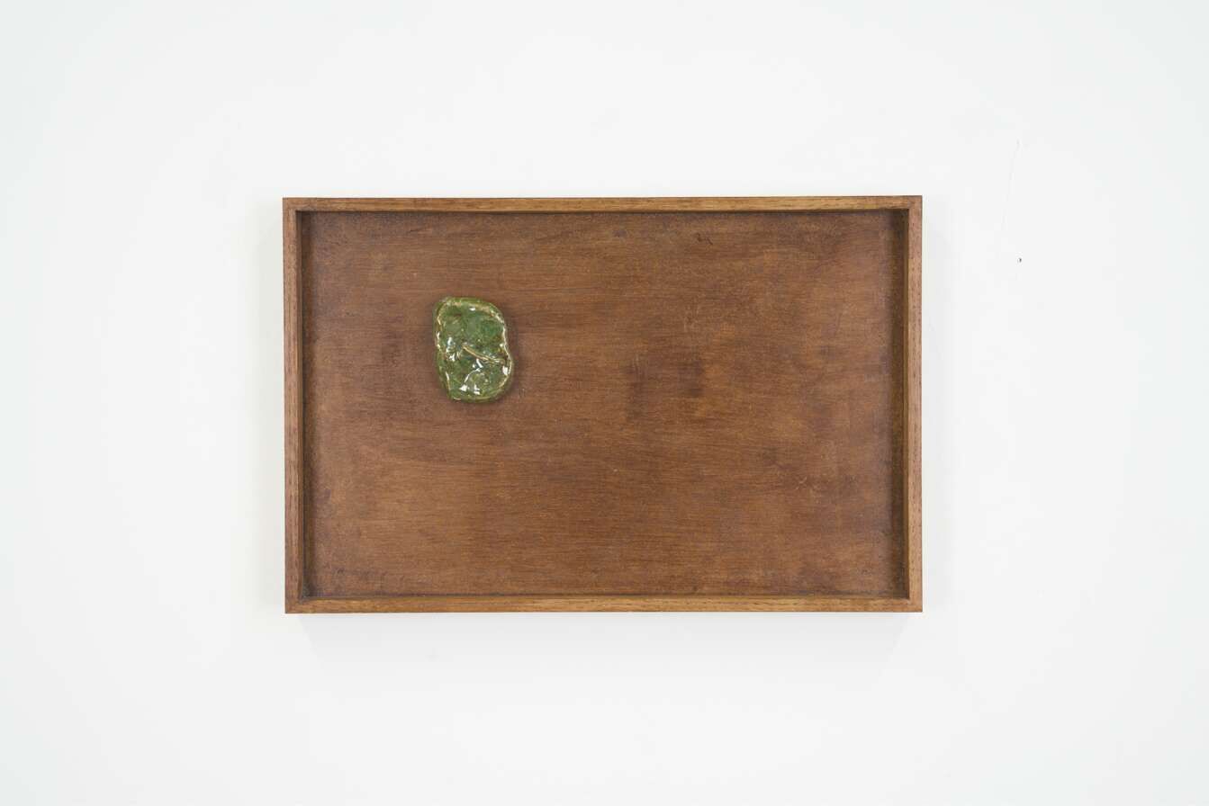 Enclos en bois tenant un poulain sur son terrain - Annika Audu 1