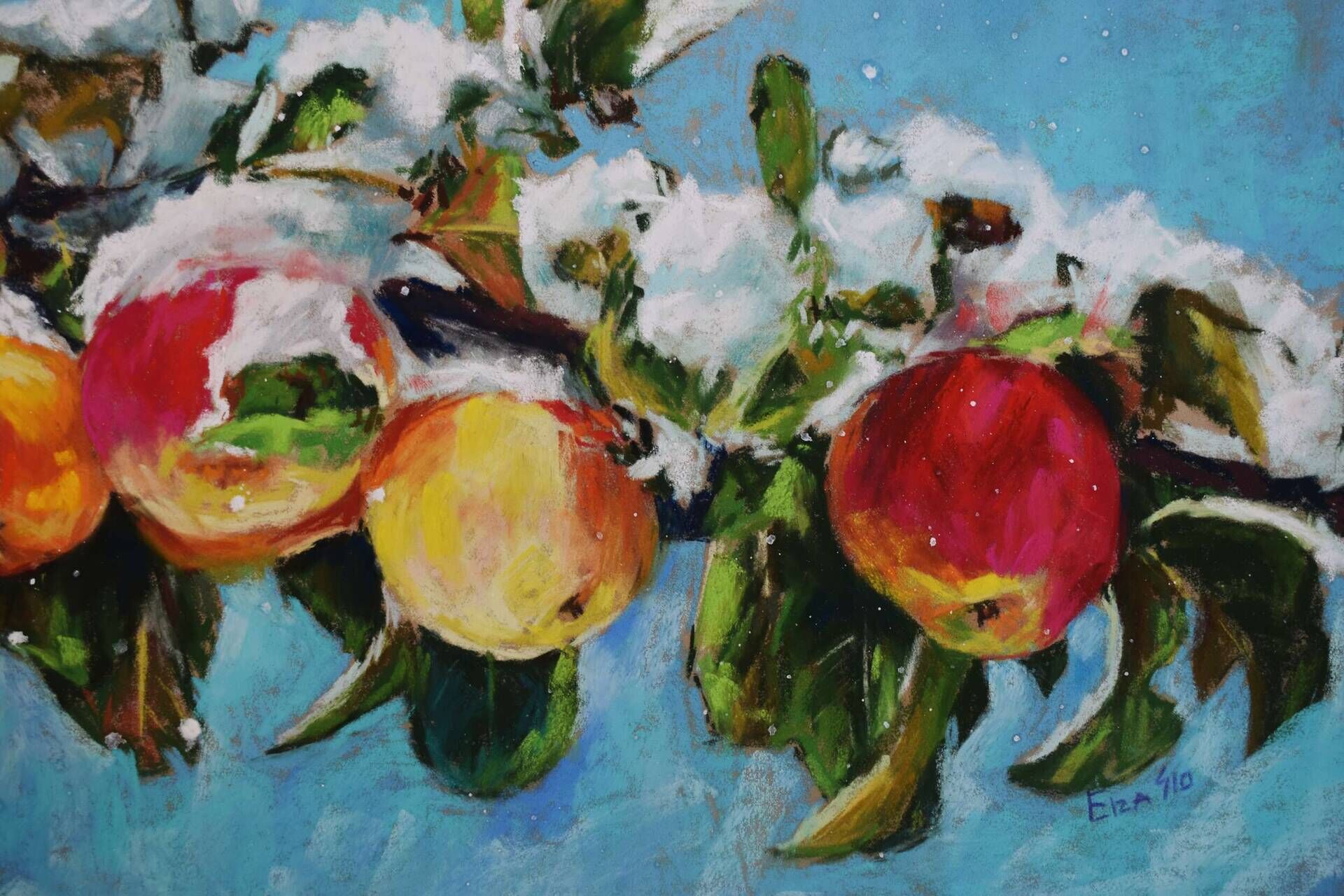 Wonder 2 - Elza Slo 6