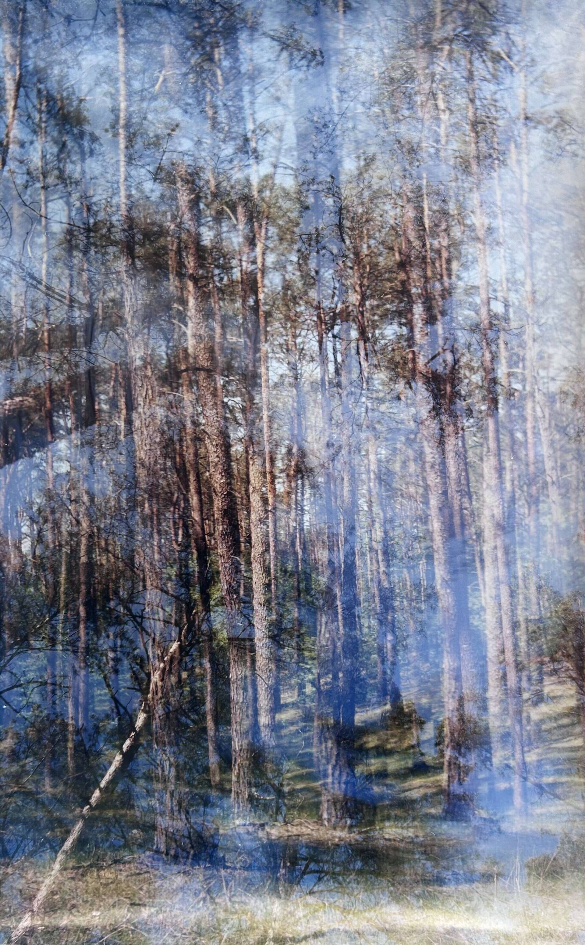 Wunderwald 2.0 - Luise Oswald 1