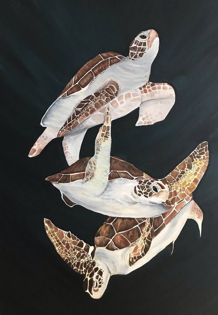 Turtles in the deep 