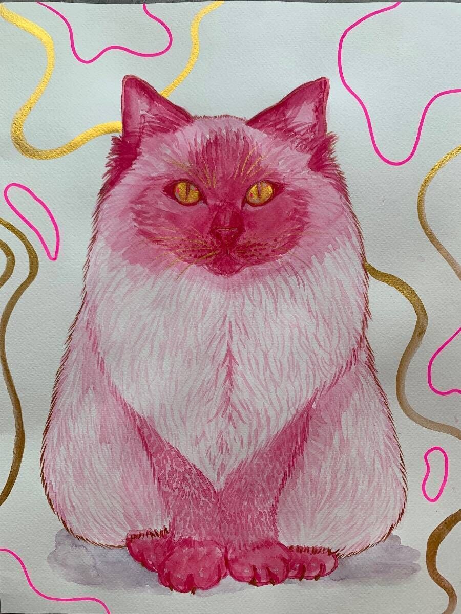 Pink Kitty