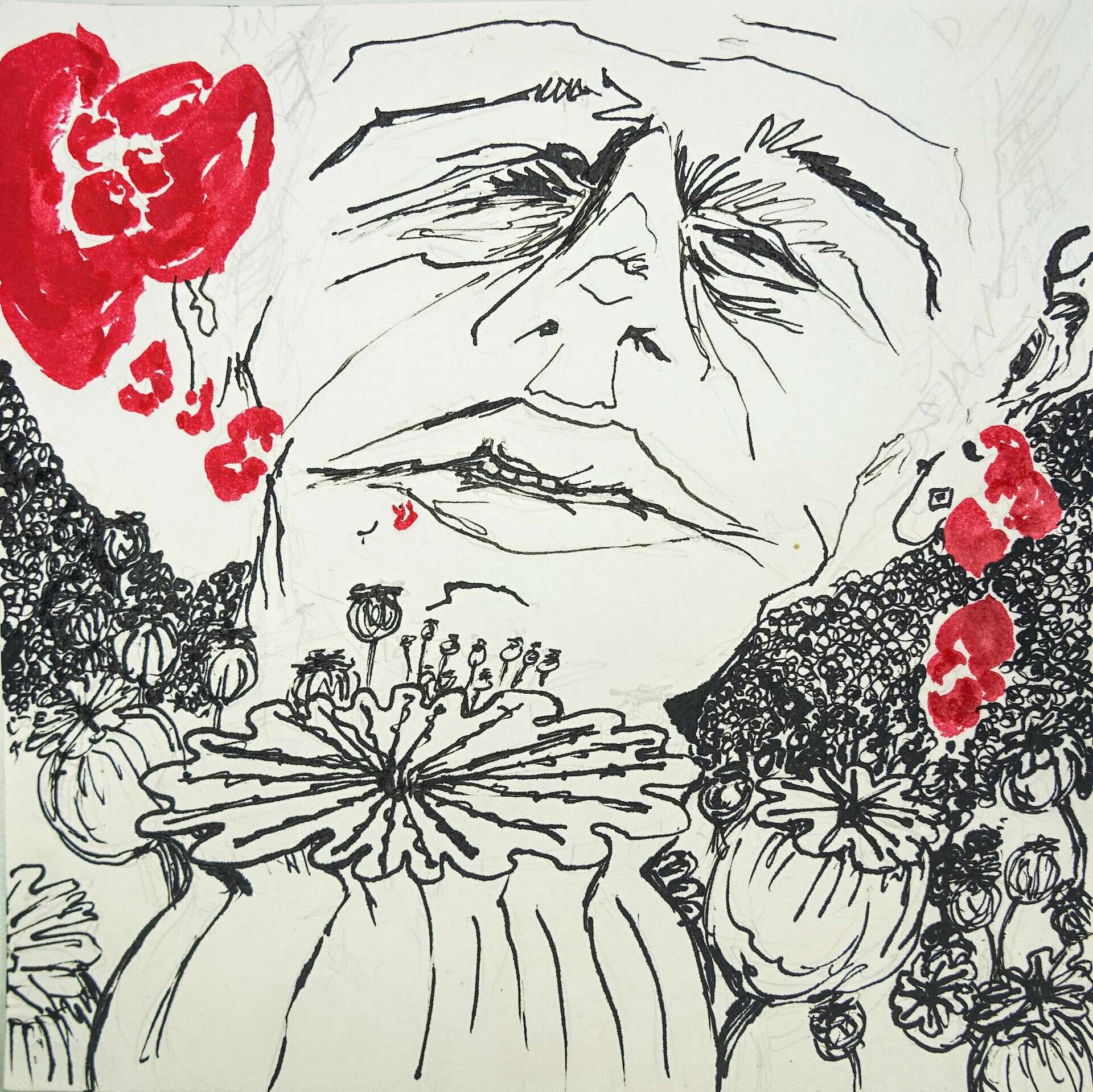 Mohntag - Joosephine-Henriette Becker 2