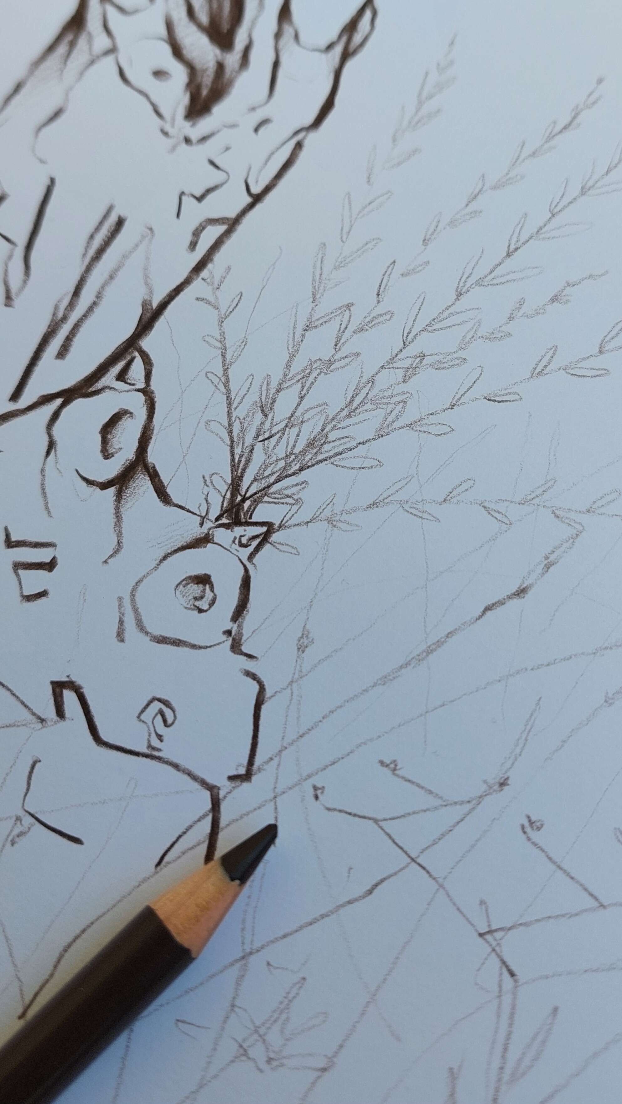 Olivenbaum 4 - Alexander Straub 3