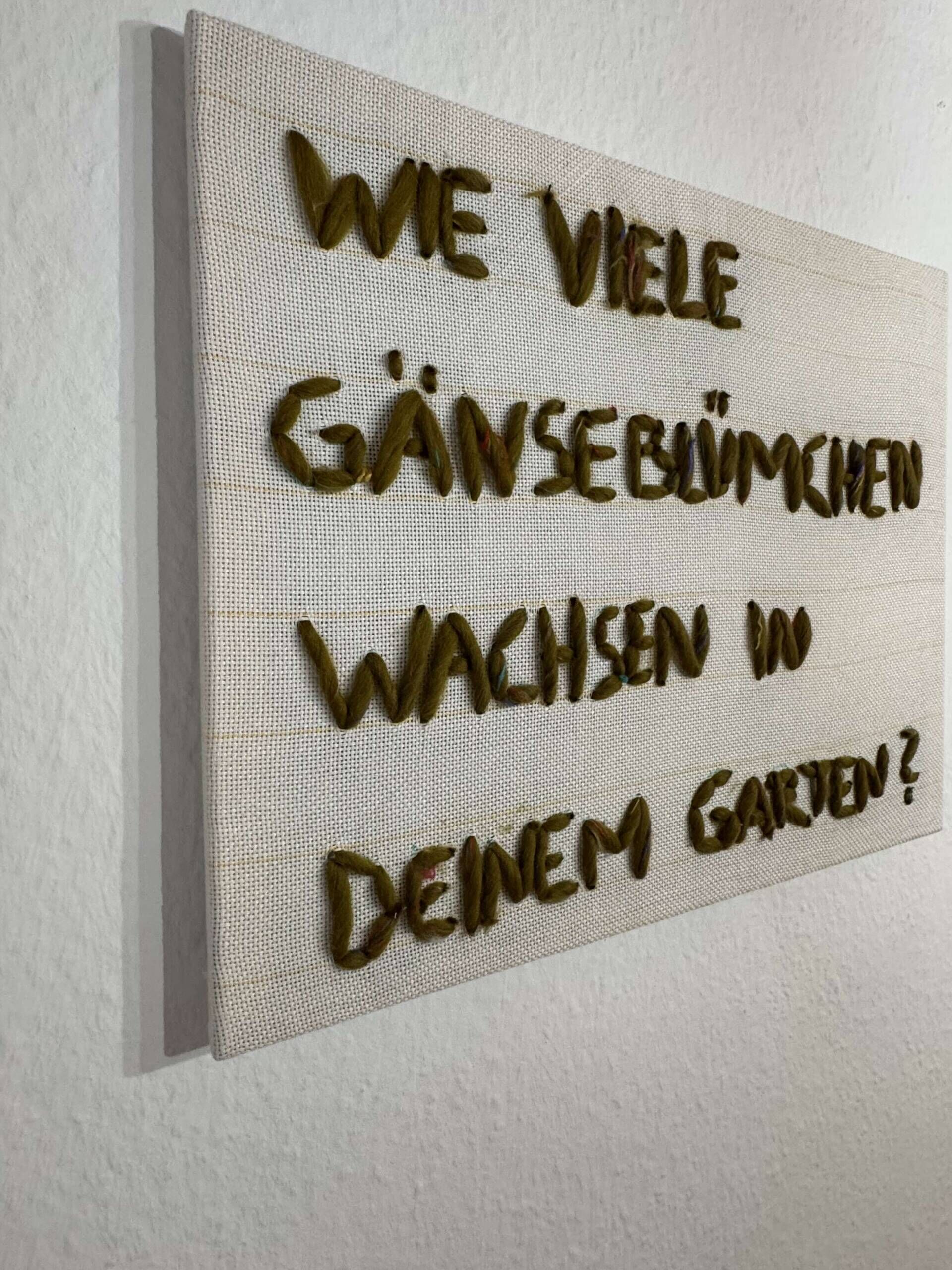 Gänseblümchen im Garten  - Carmen Moreira 3